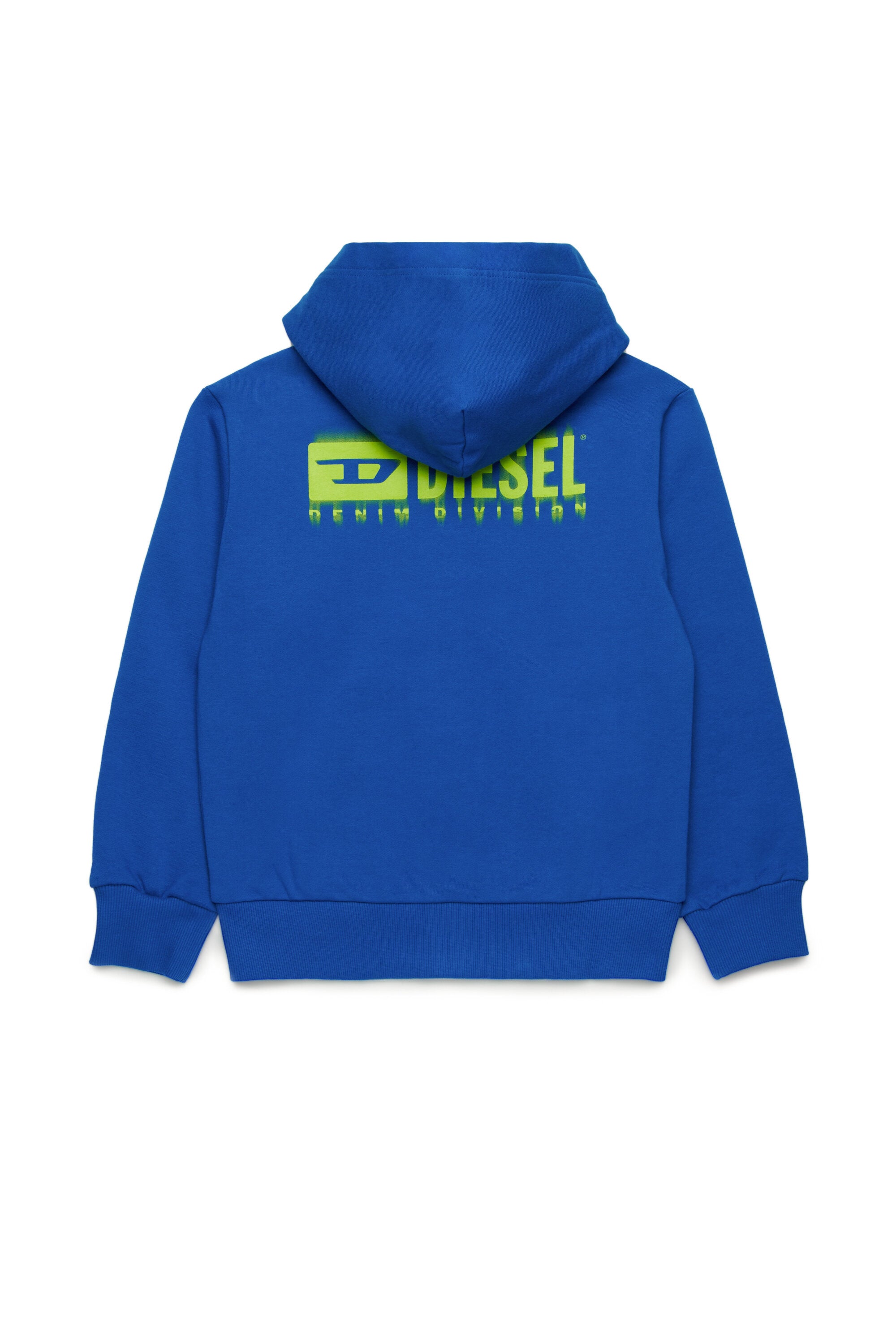 Hooded sweatshirt with degradé logo