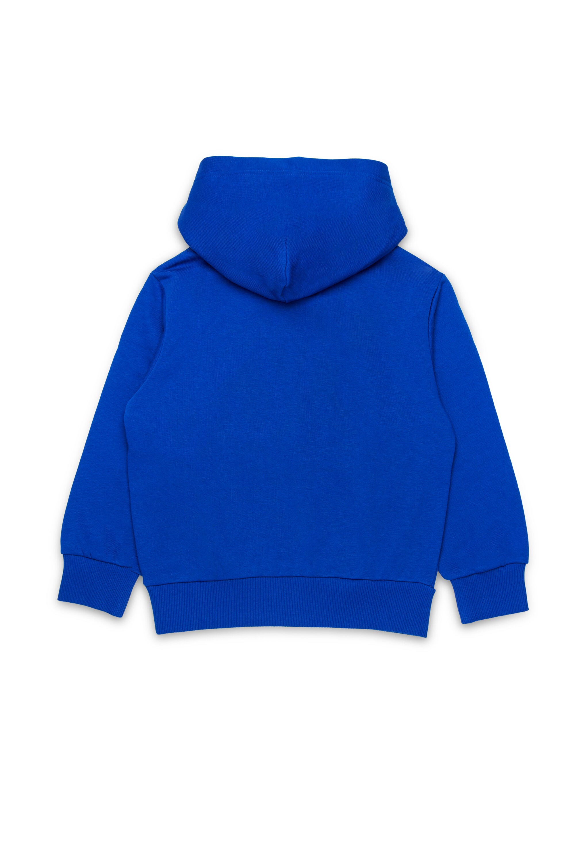 Hooded sweatshirt with Diesel Denim Division logo