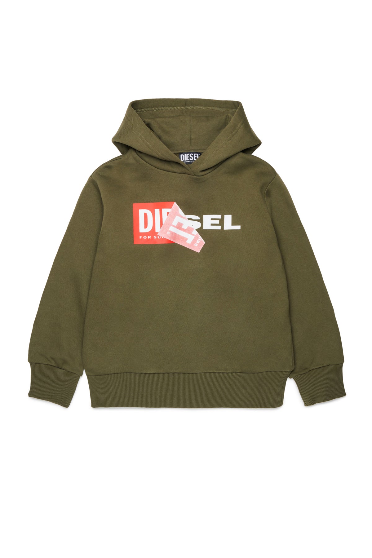 Hooded sweatshirt with logo