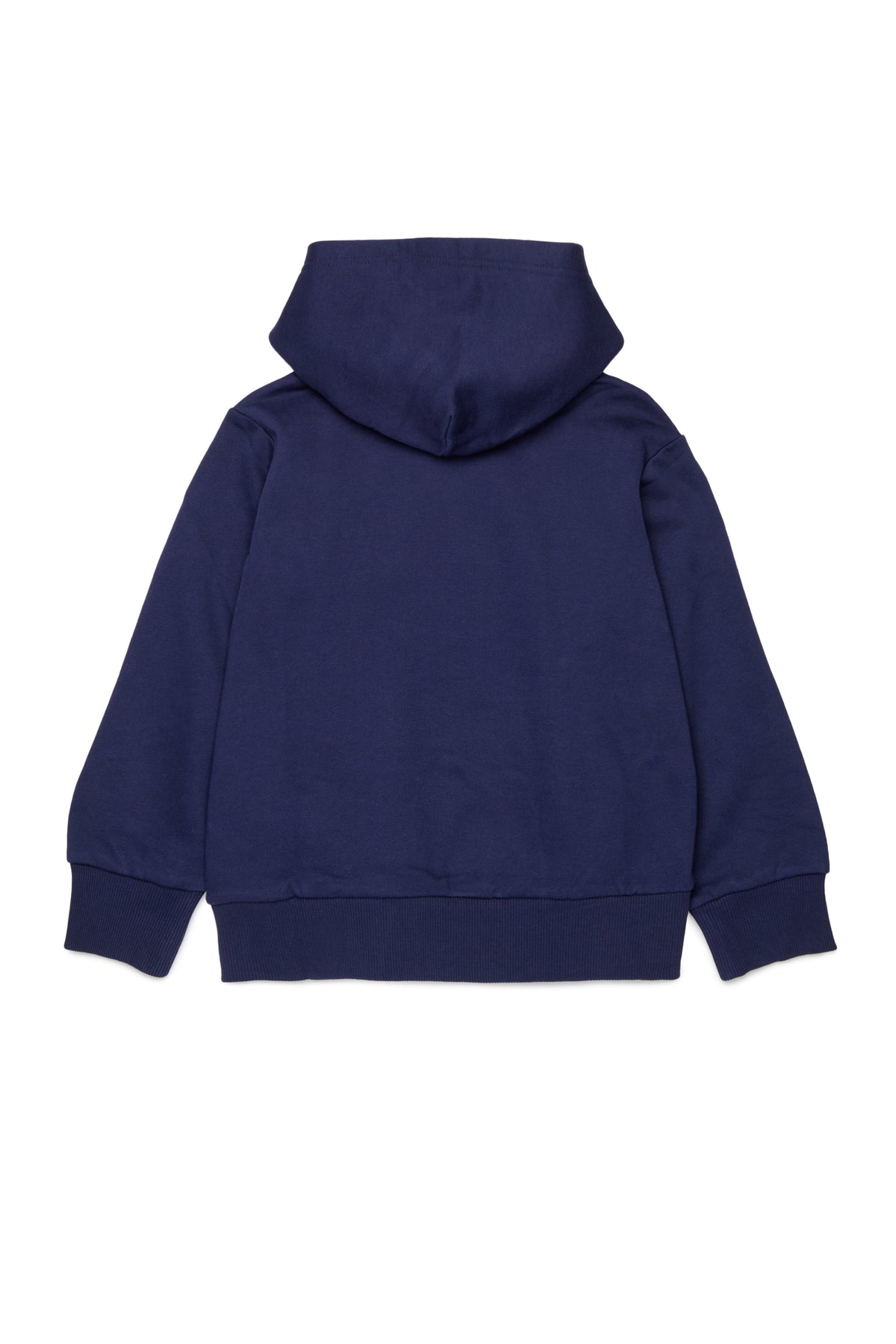 Hooded sweatshirt with logo