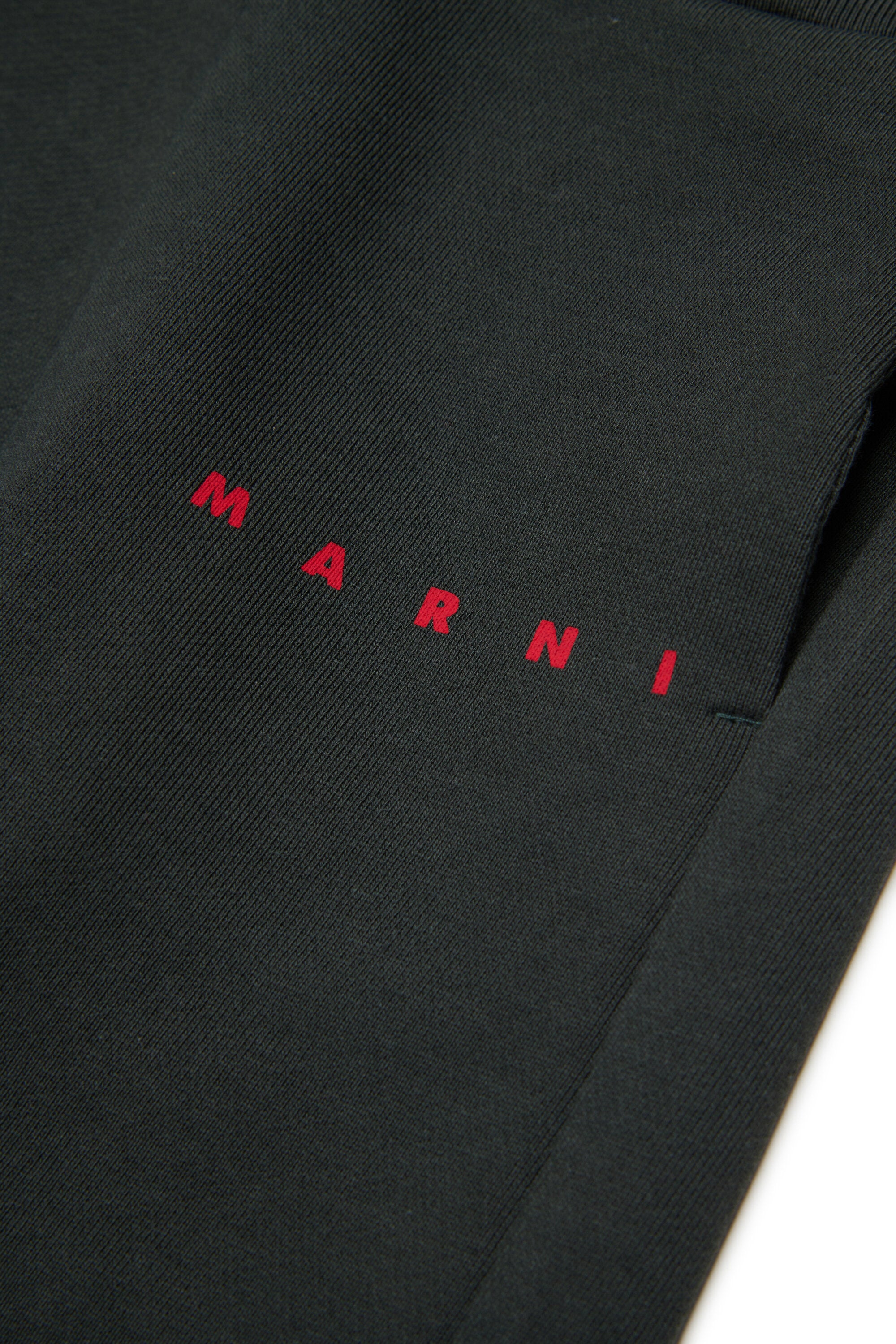 Fleece jogger pants with logo