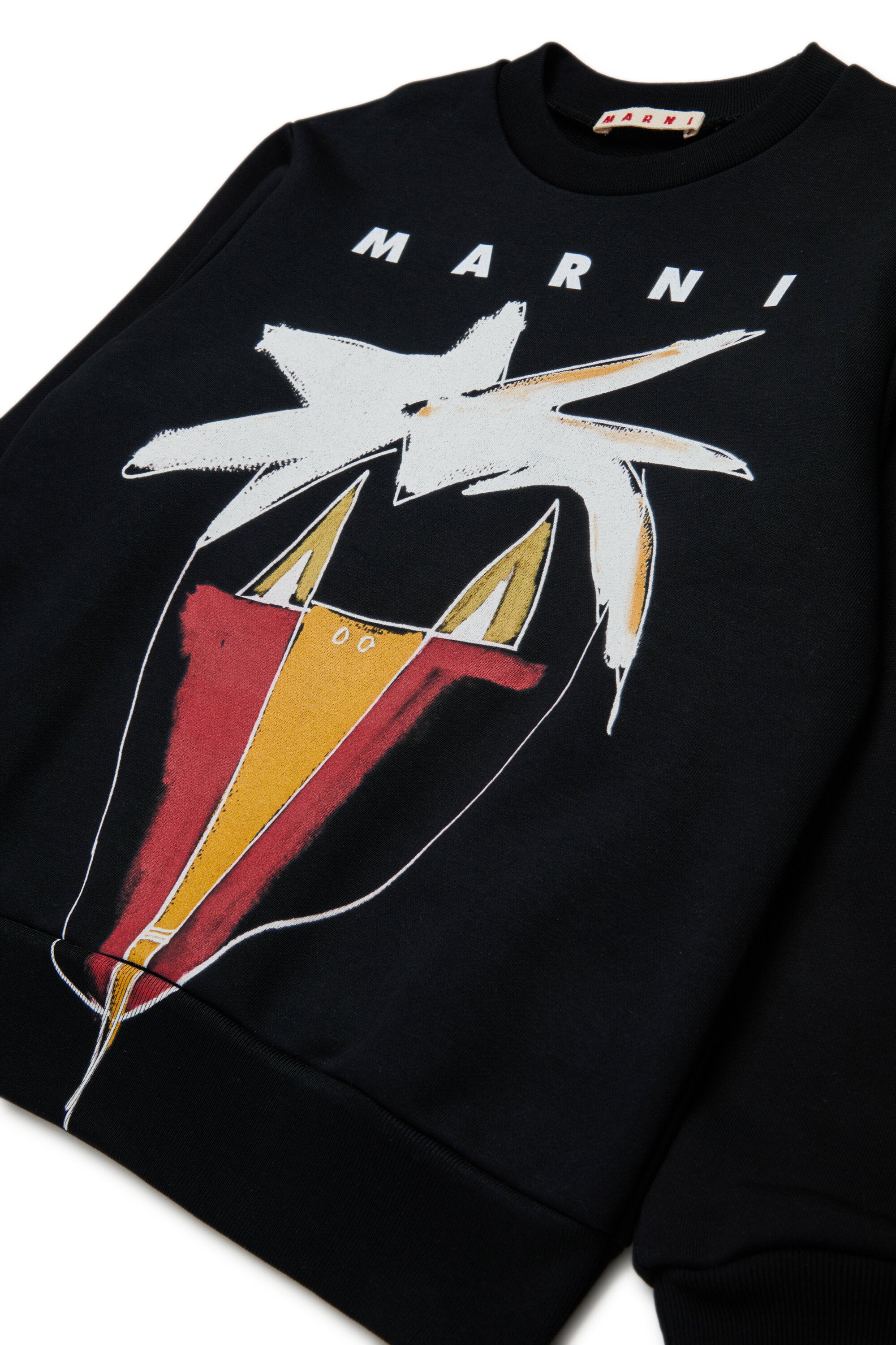 Crew-neck sweatshirt with Jungle graphics