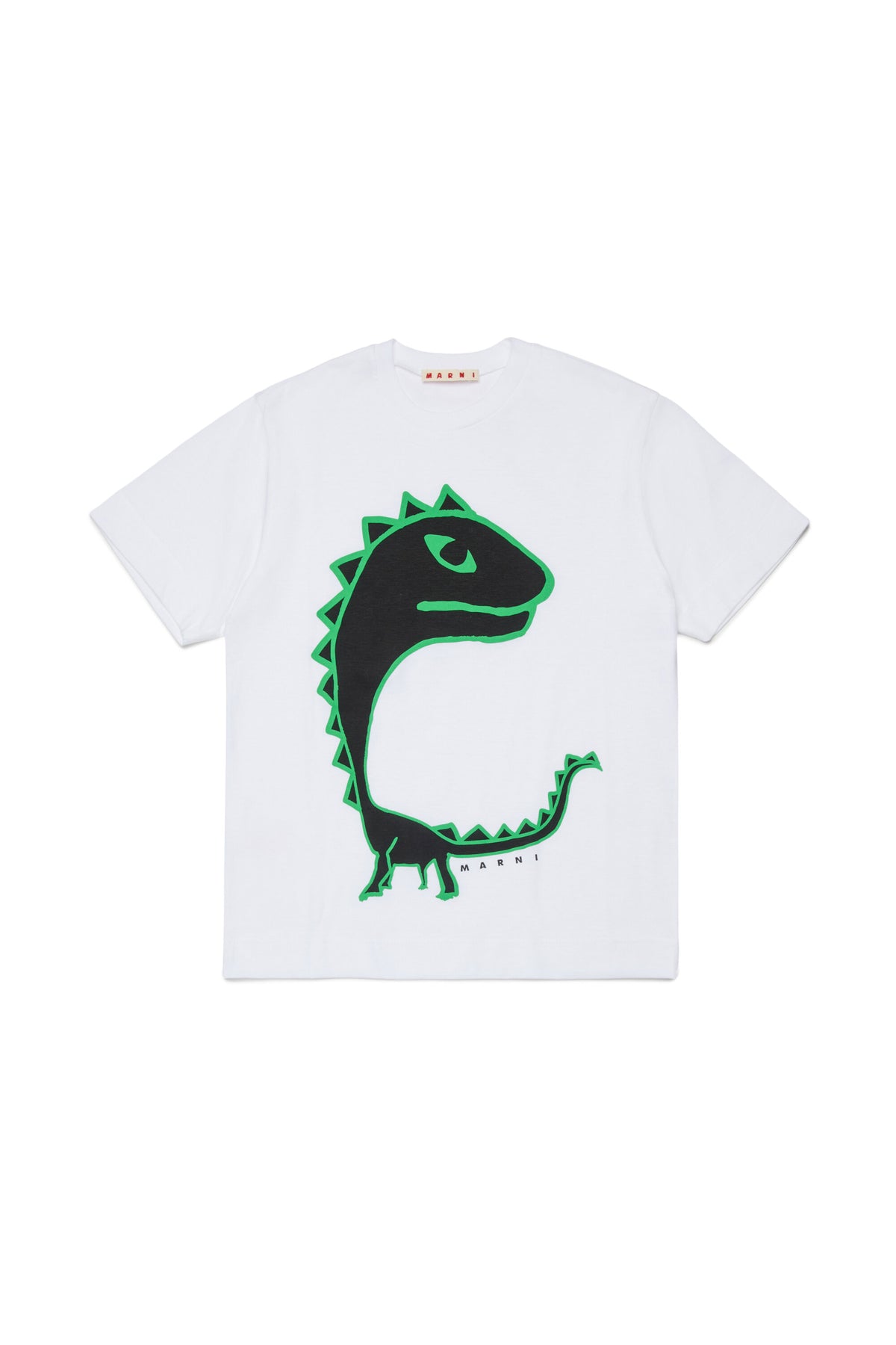 T-Shirt mit Dinosaurier-Print
