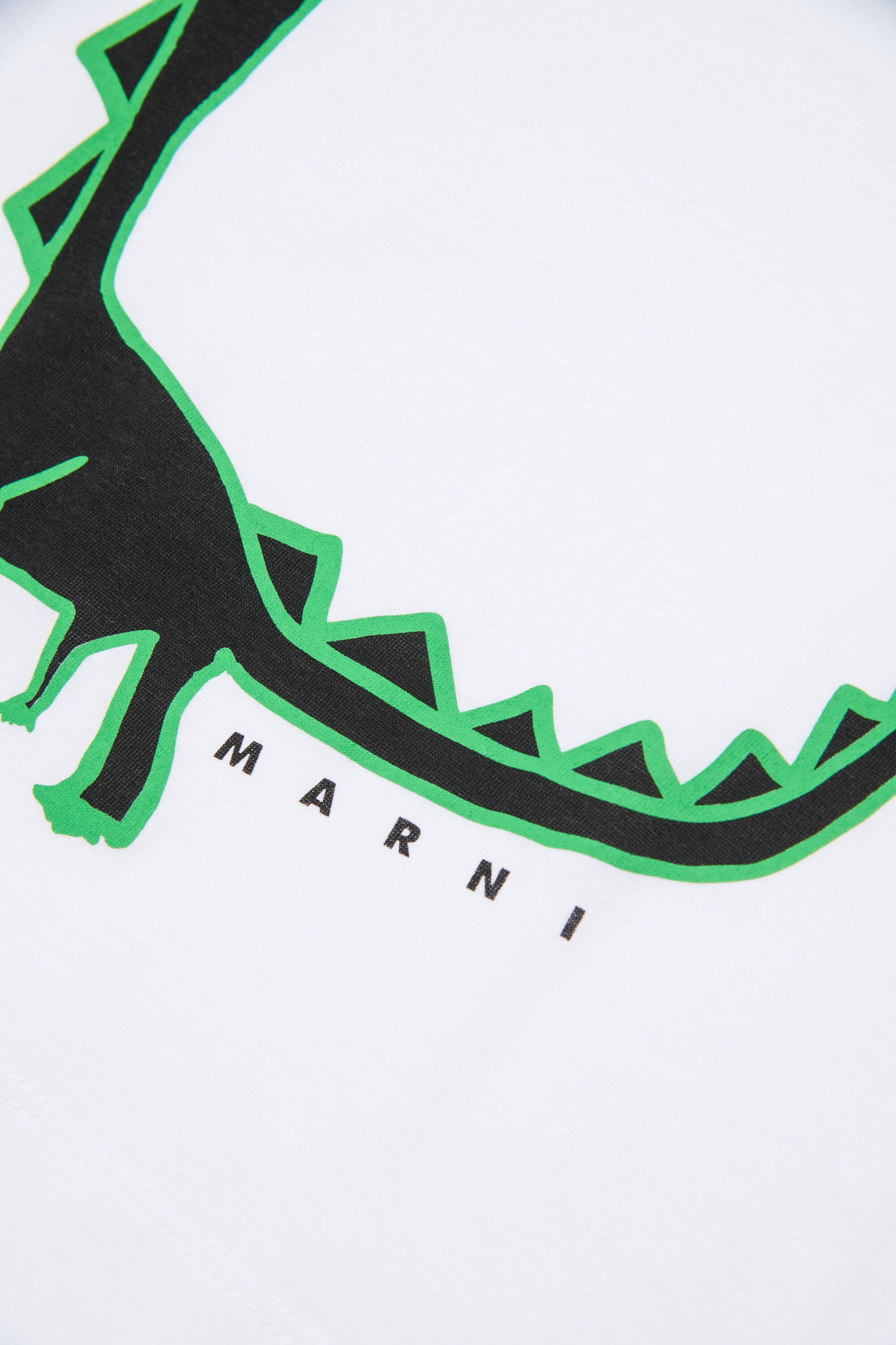 T-Shirt mit Dinosaurier-Print