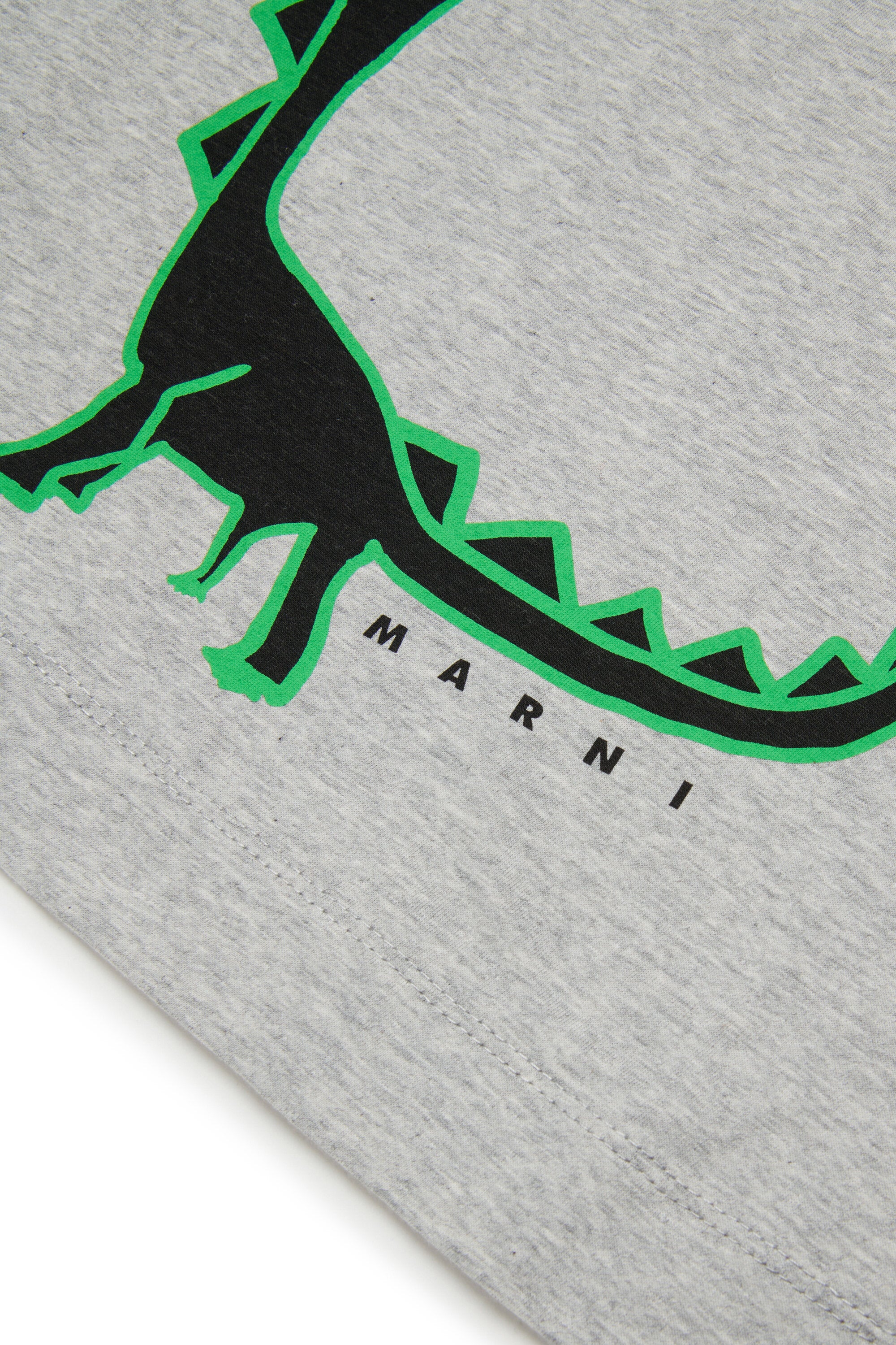 T-shirt with dinosaur print