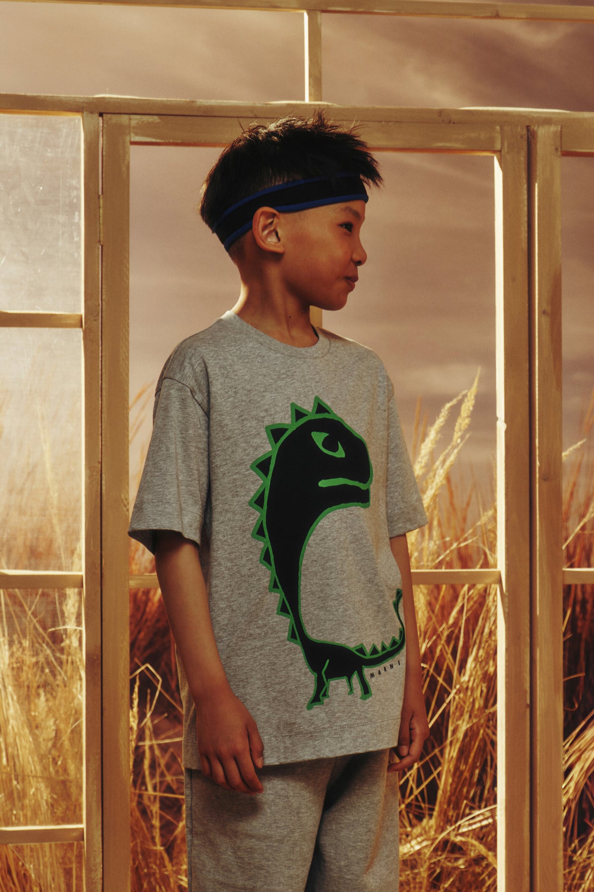 T-Shirt mit Dinosaurier-Print