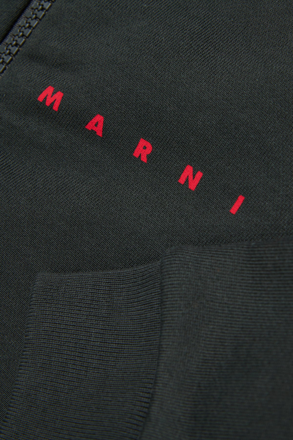 Felpa full zip con logo