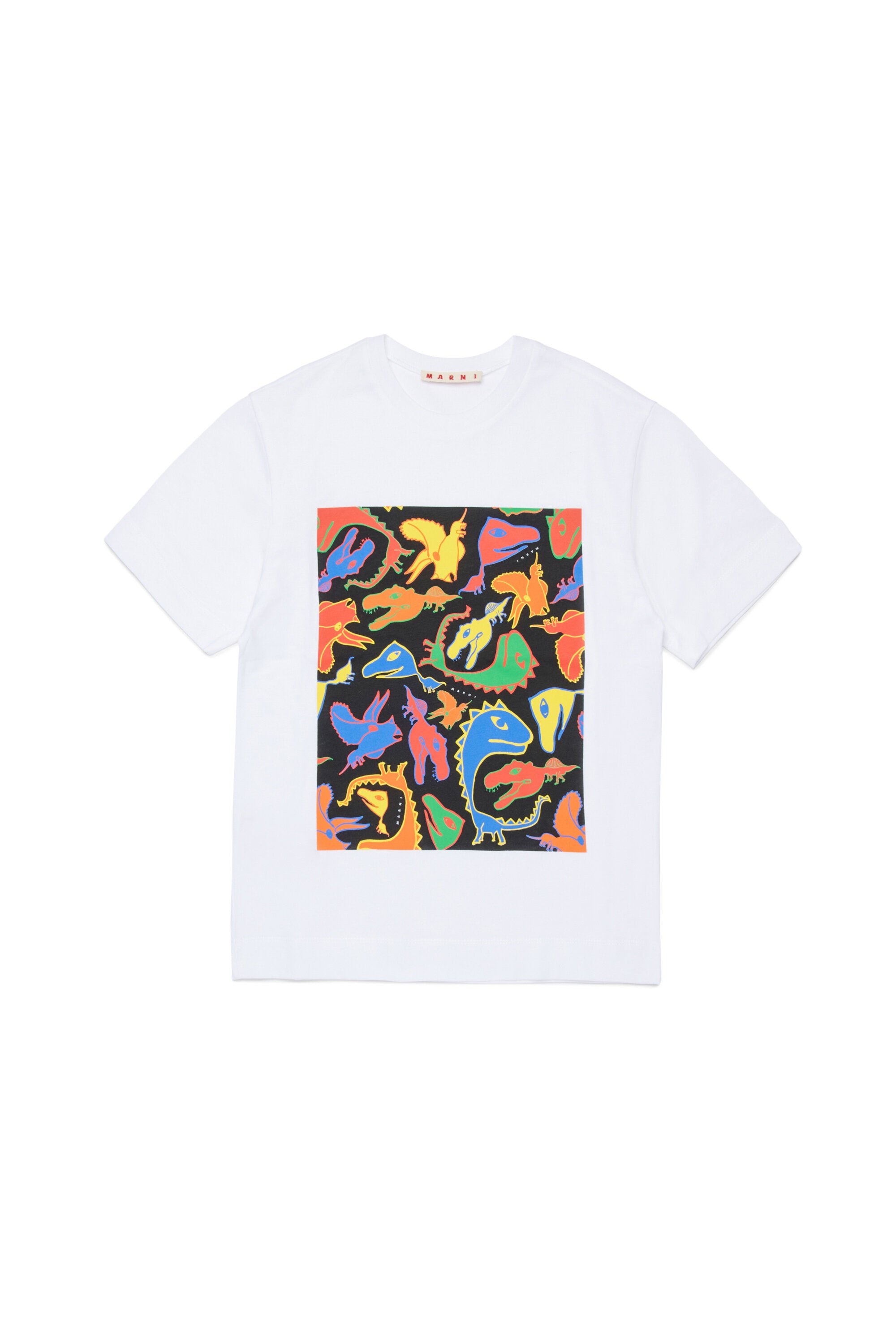 T-shirt con stampa dinosauri multicolor