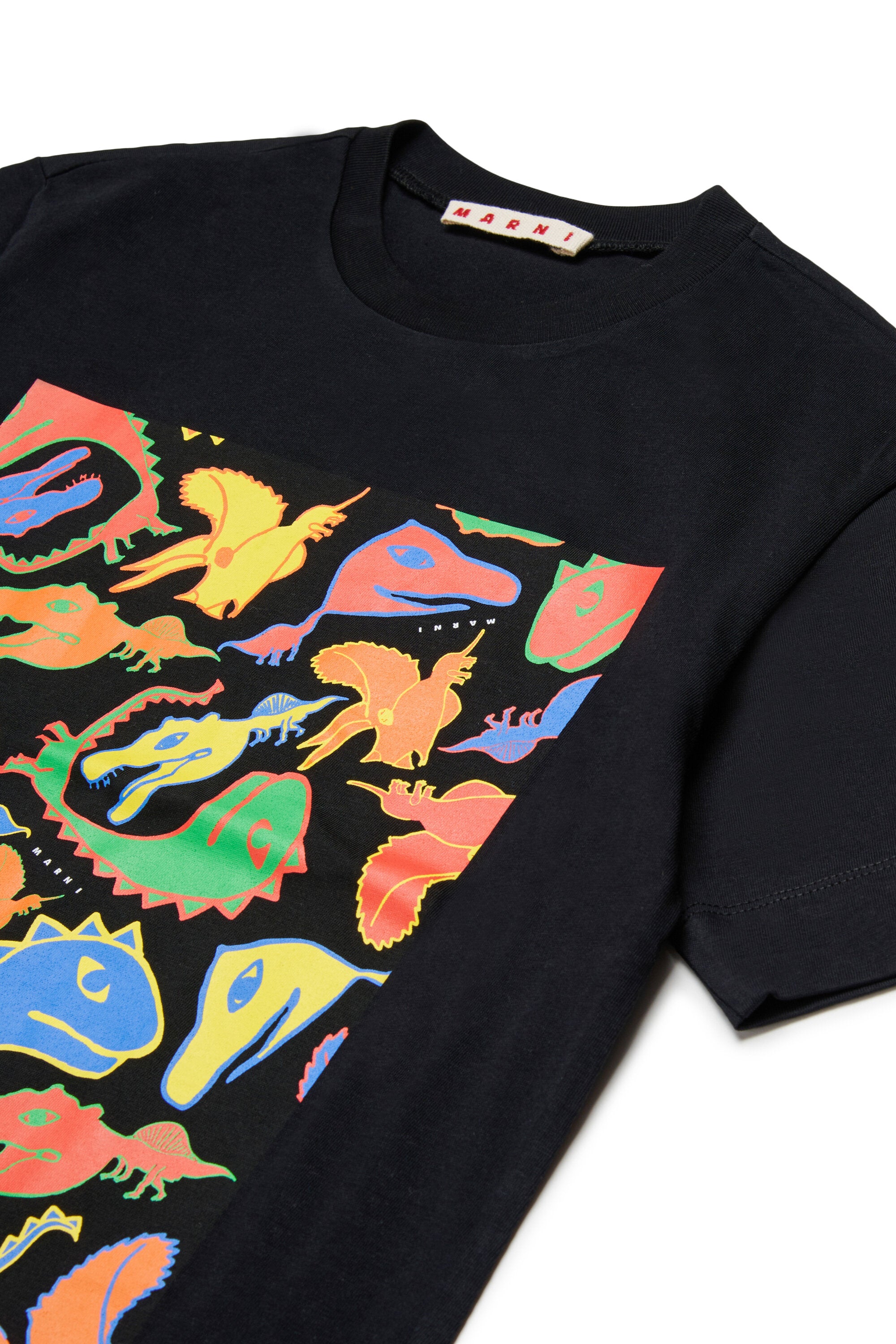T-shirt con stampa dinosauri multicolor