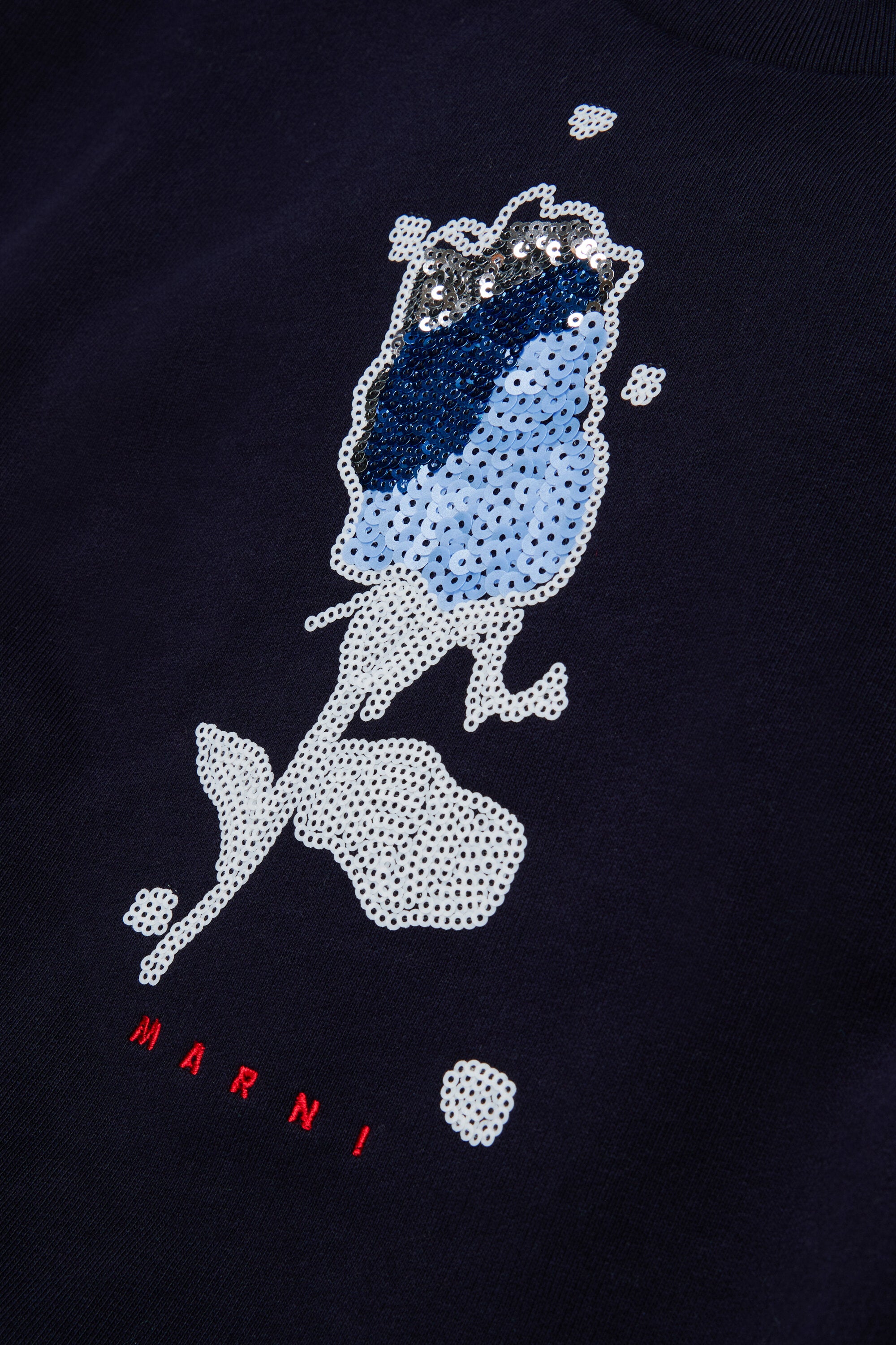 Crewneck sweatshirt with logo