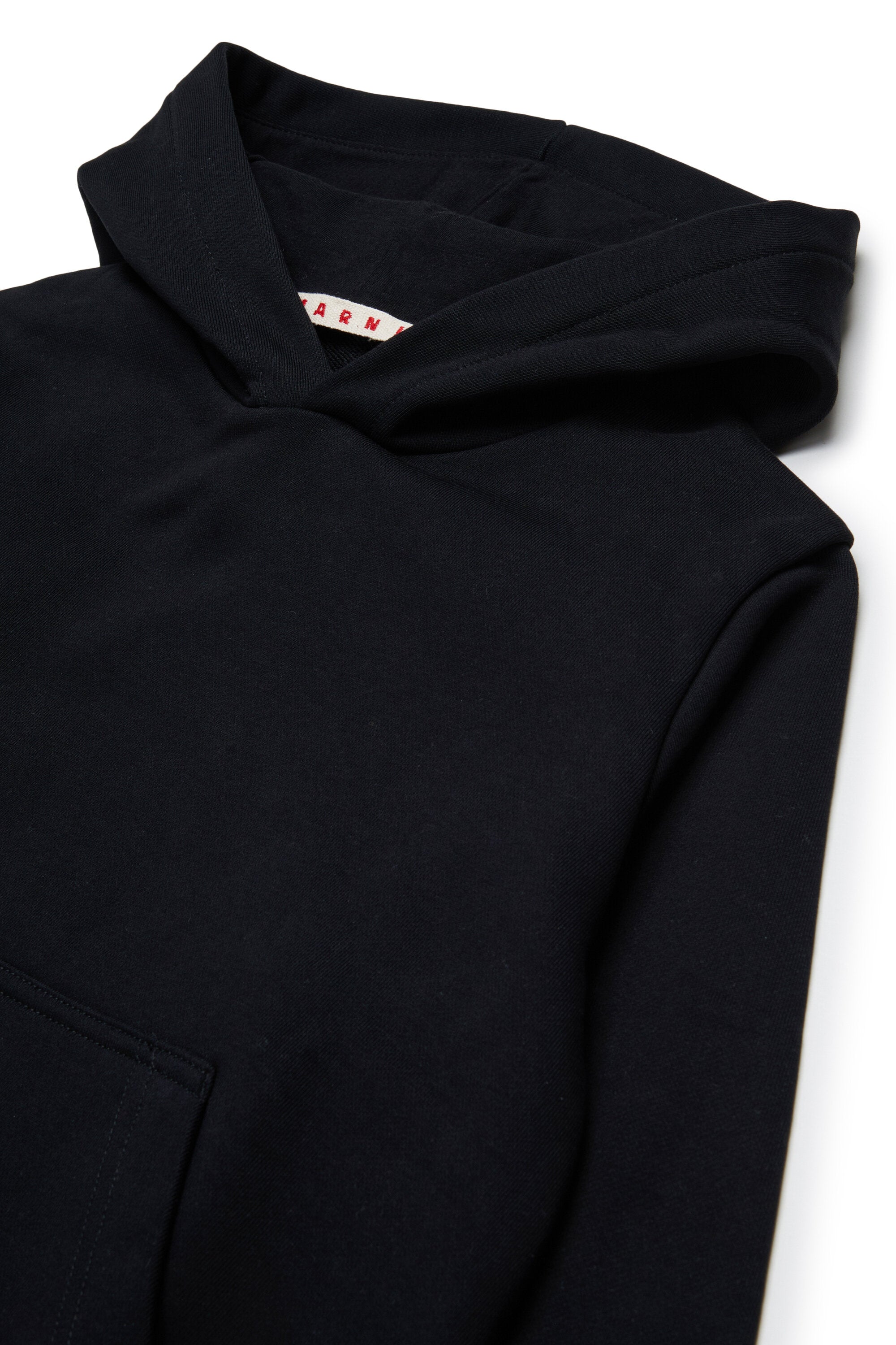 Hooded sweatshirt with logo