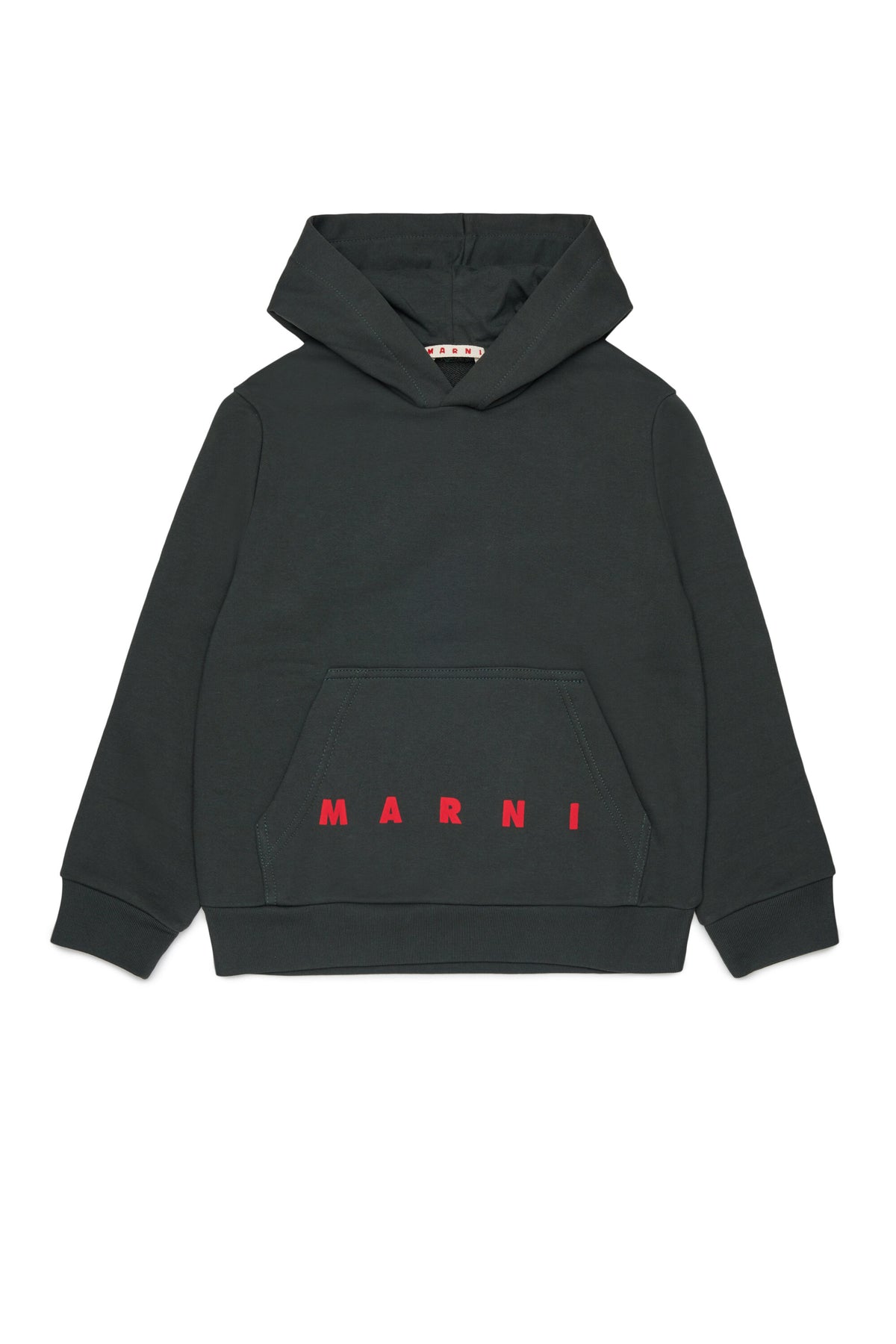 Sweat à capuche avec logo