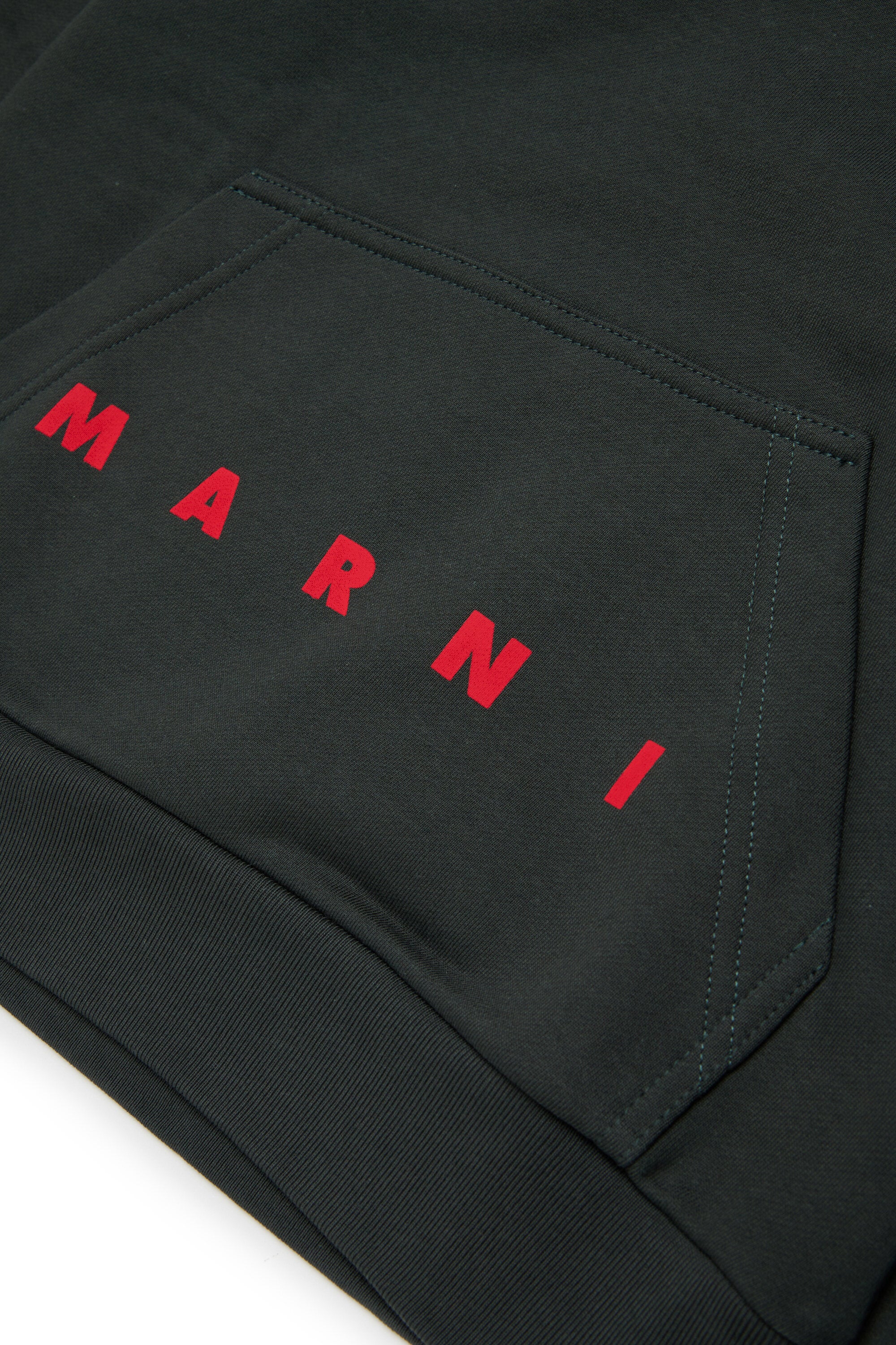 Hooded sweatshirt with logo