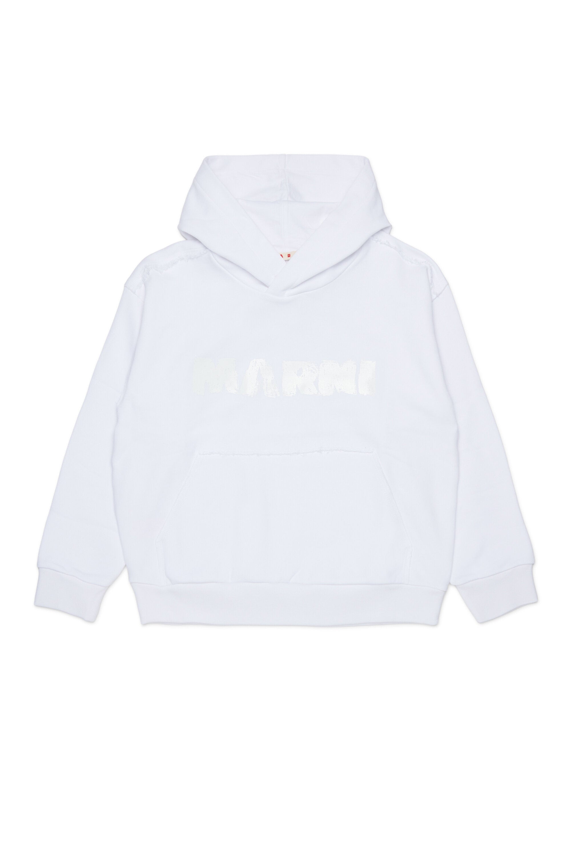 Hooded sweatshirt with logo