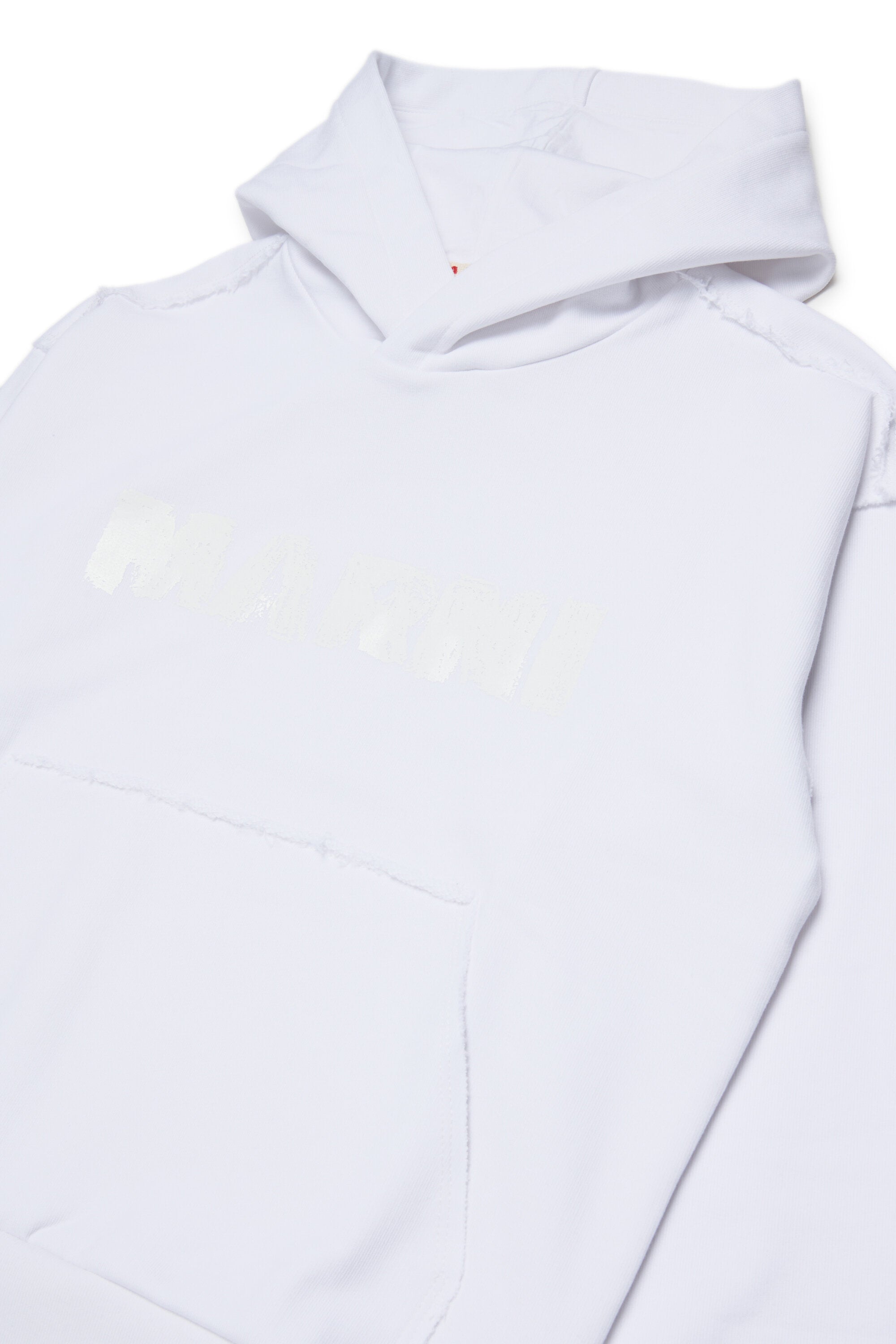 Hooded sweatshirt with logo