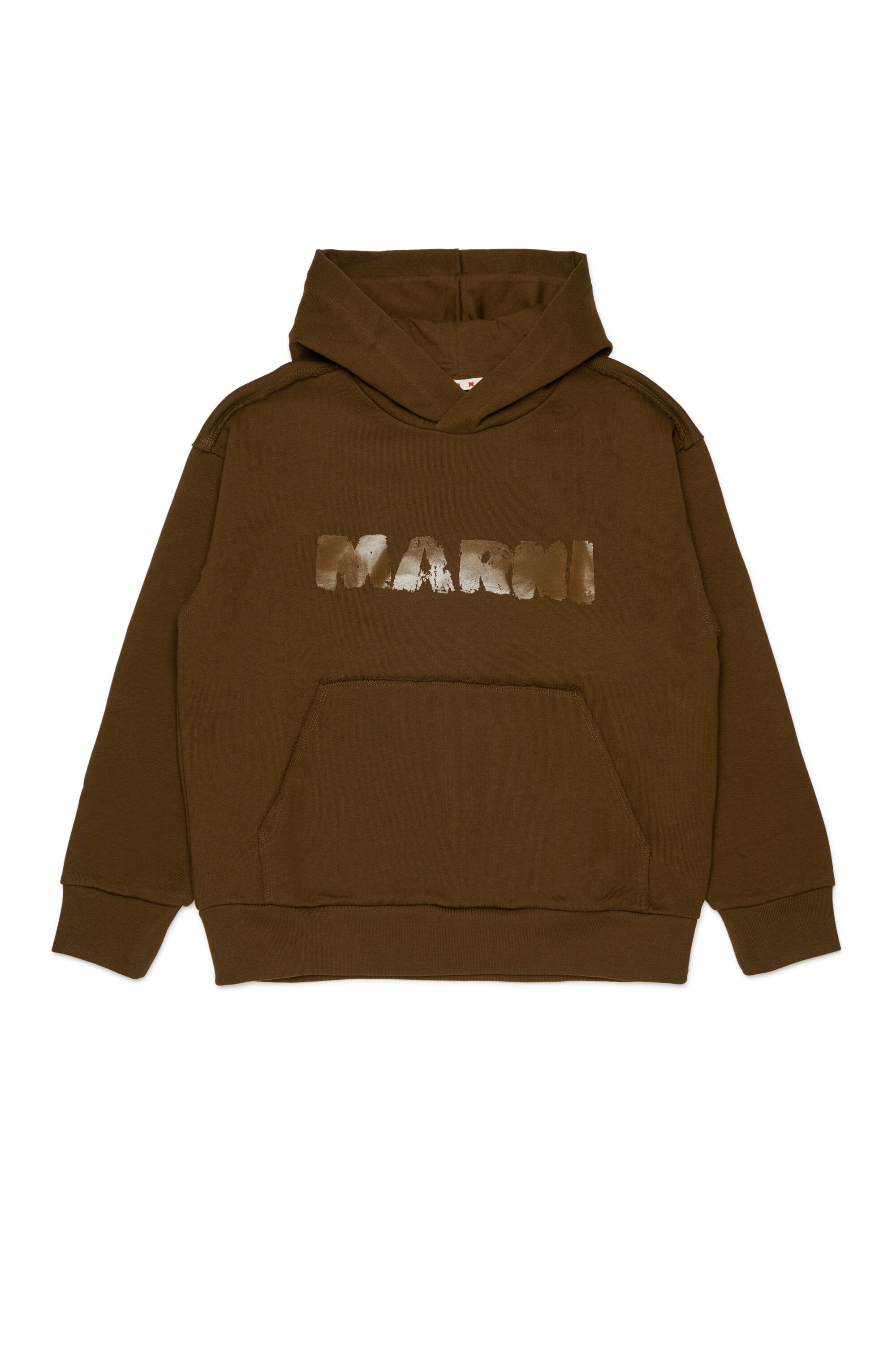 Hooded sweatshirt with logo