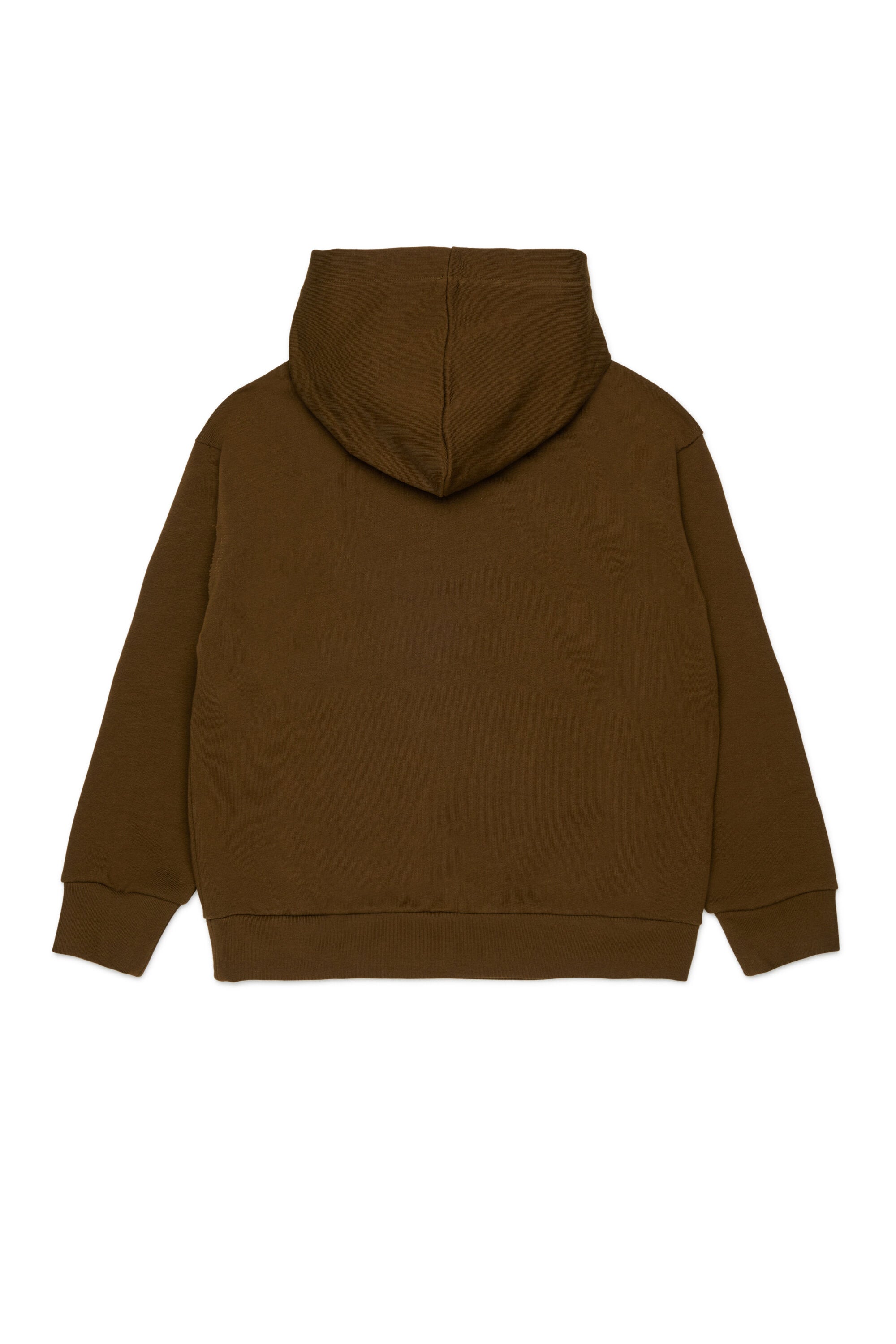 Hooded sweatshirt with logo