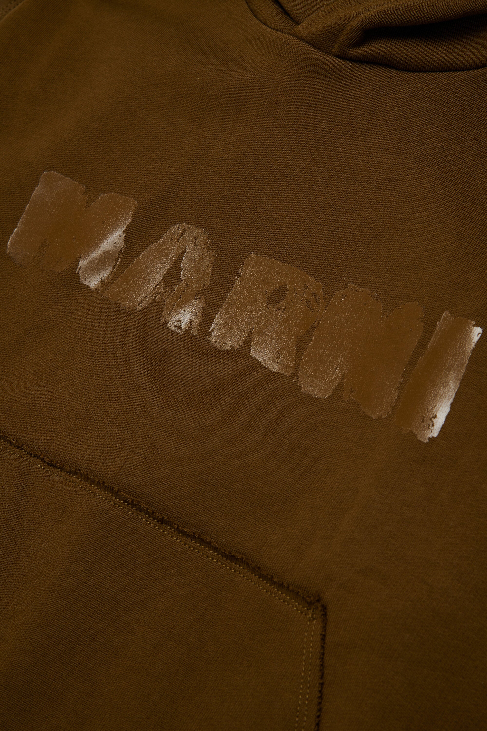 Hooded sweatshirt with logo