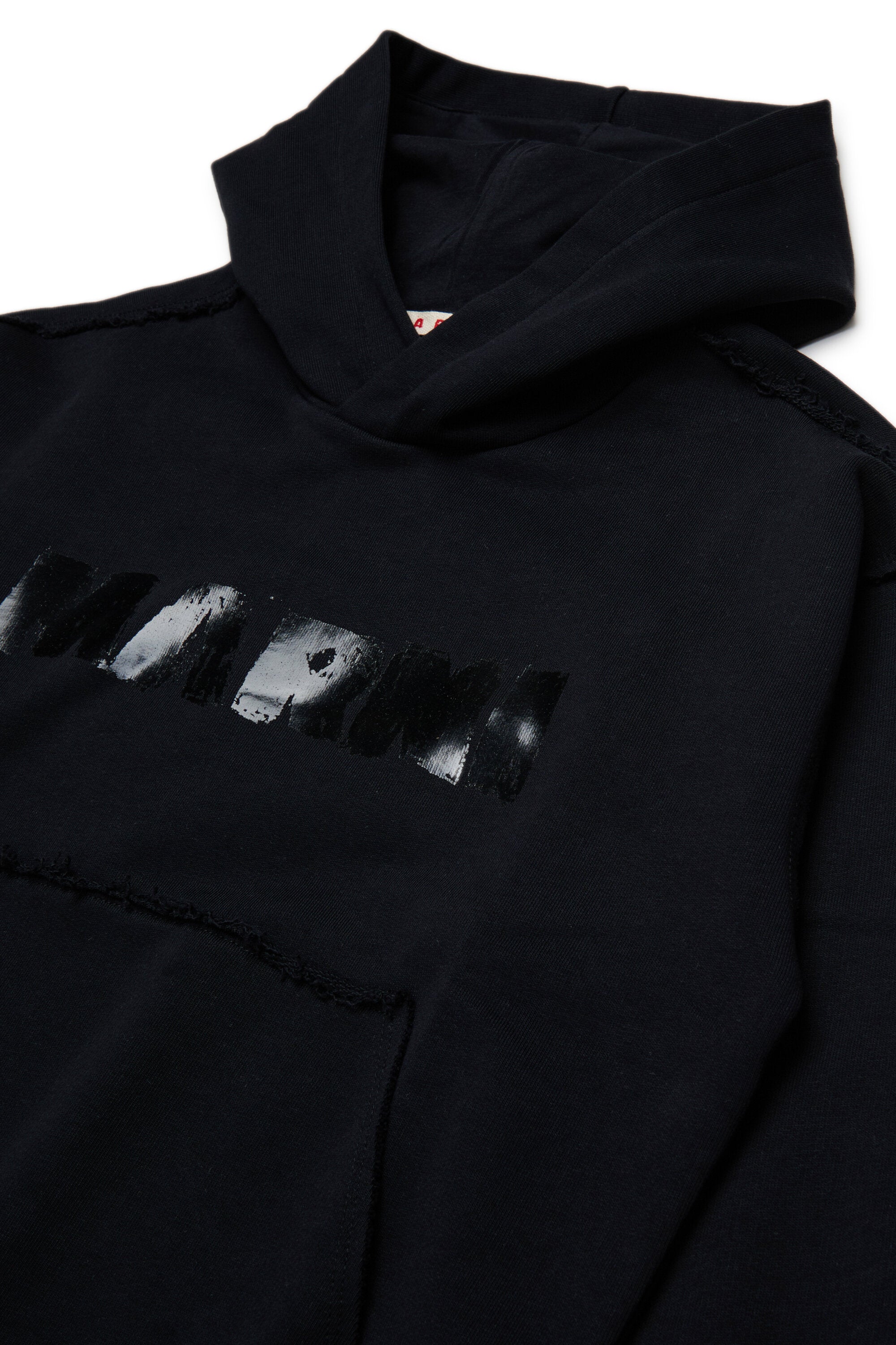 Hooded sweatshirt with logo