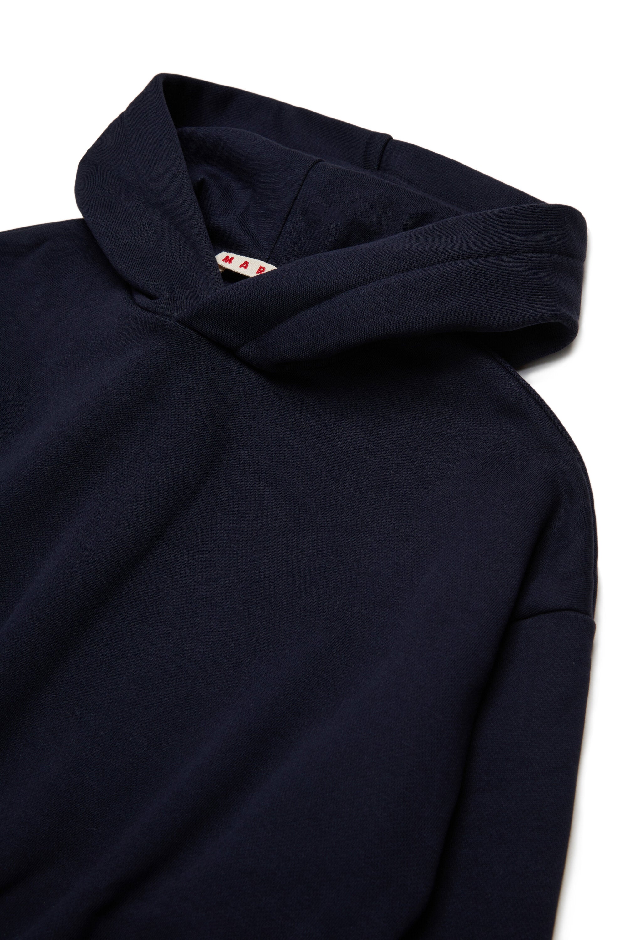 Hooded sweatshirt with logo