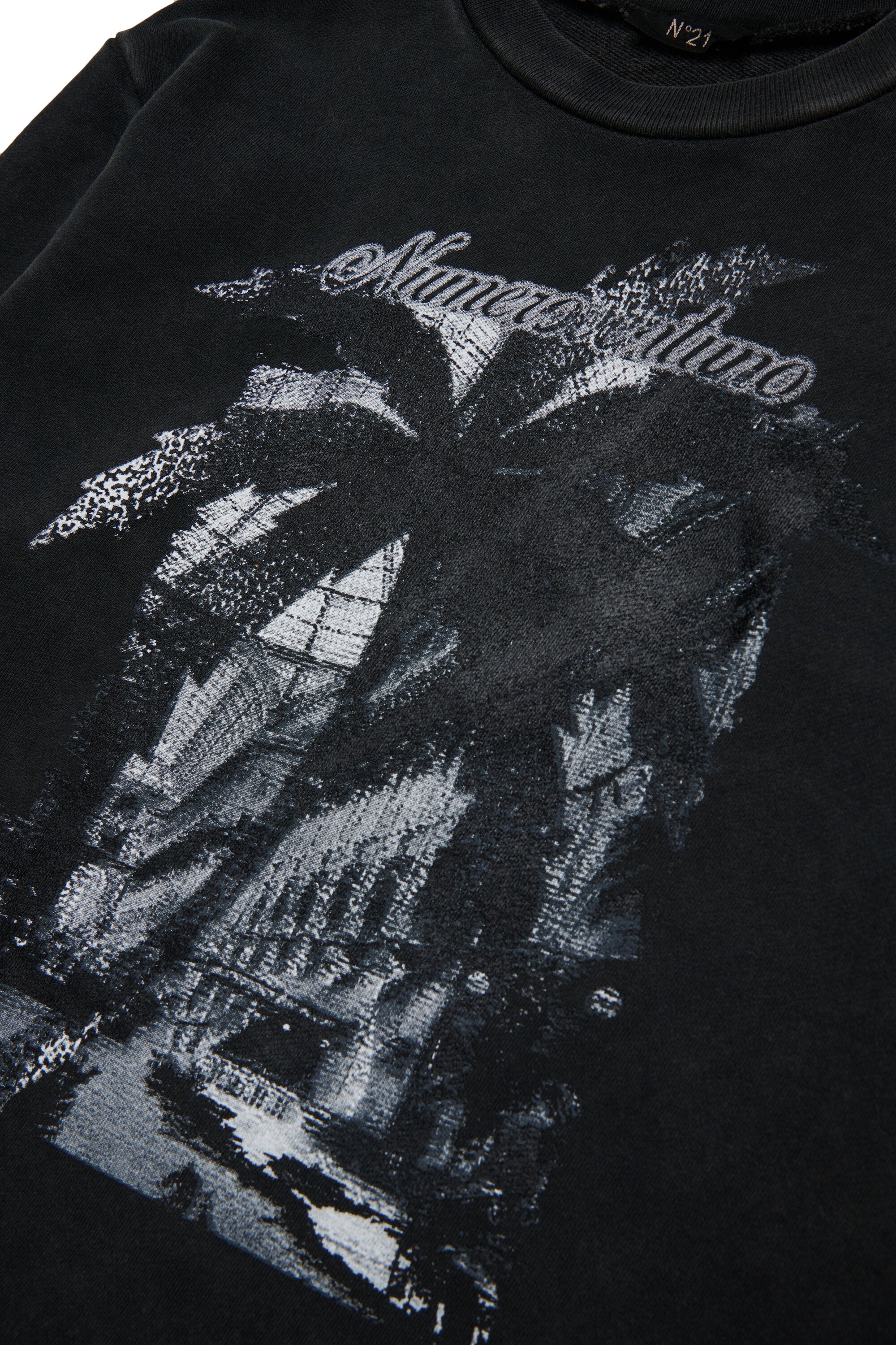 Sweat-shirt à col ras du cou avec graphiques Palm