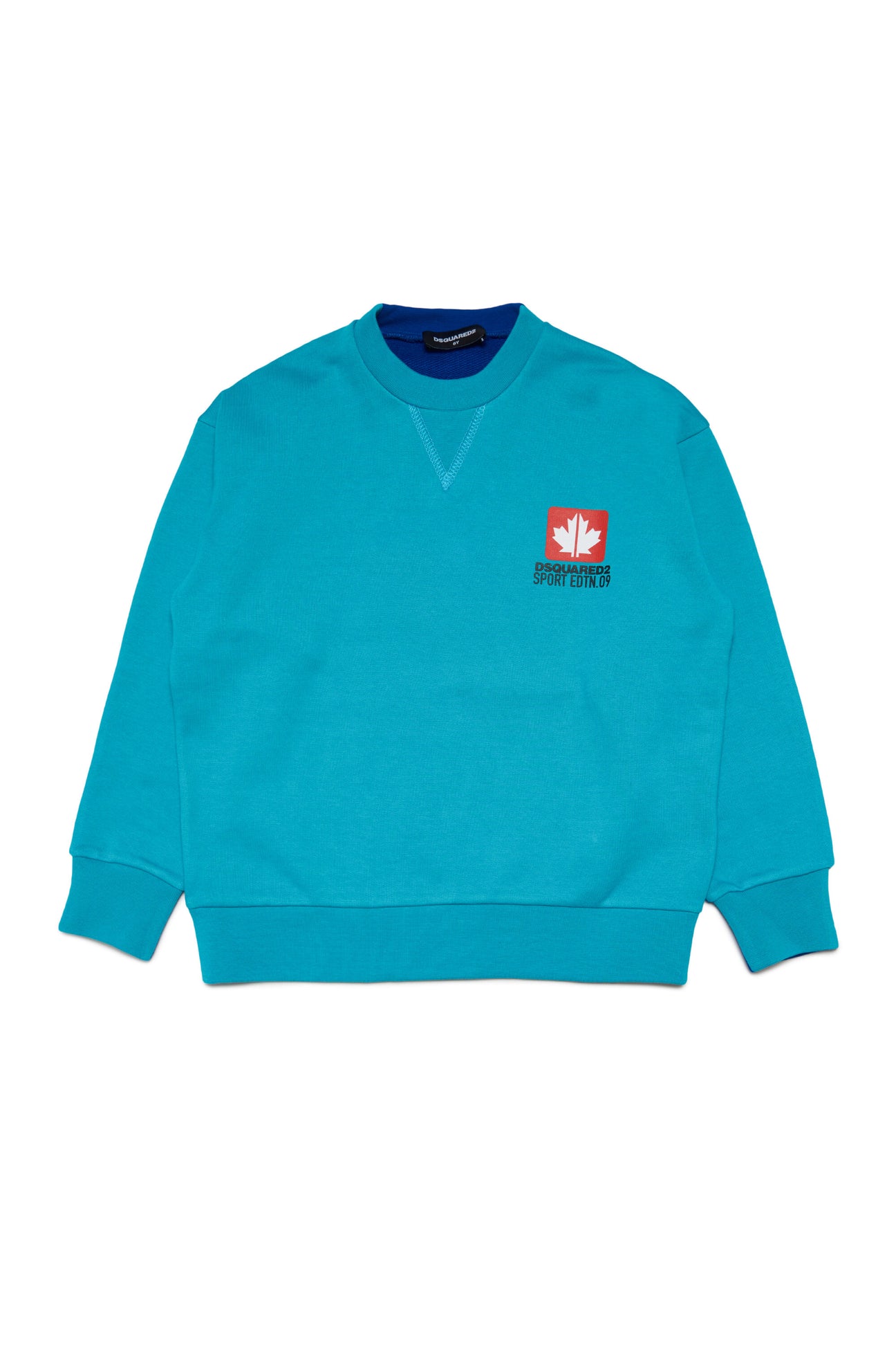Two-color sweatshirt with Leaf graphics 
