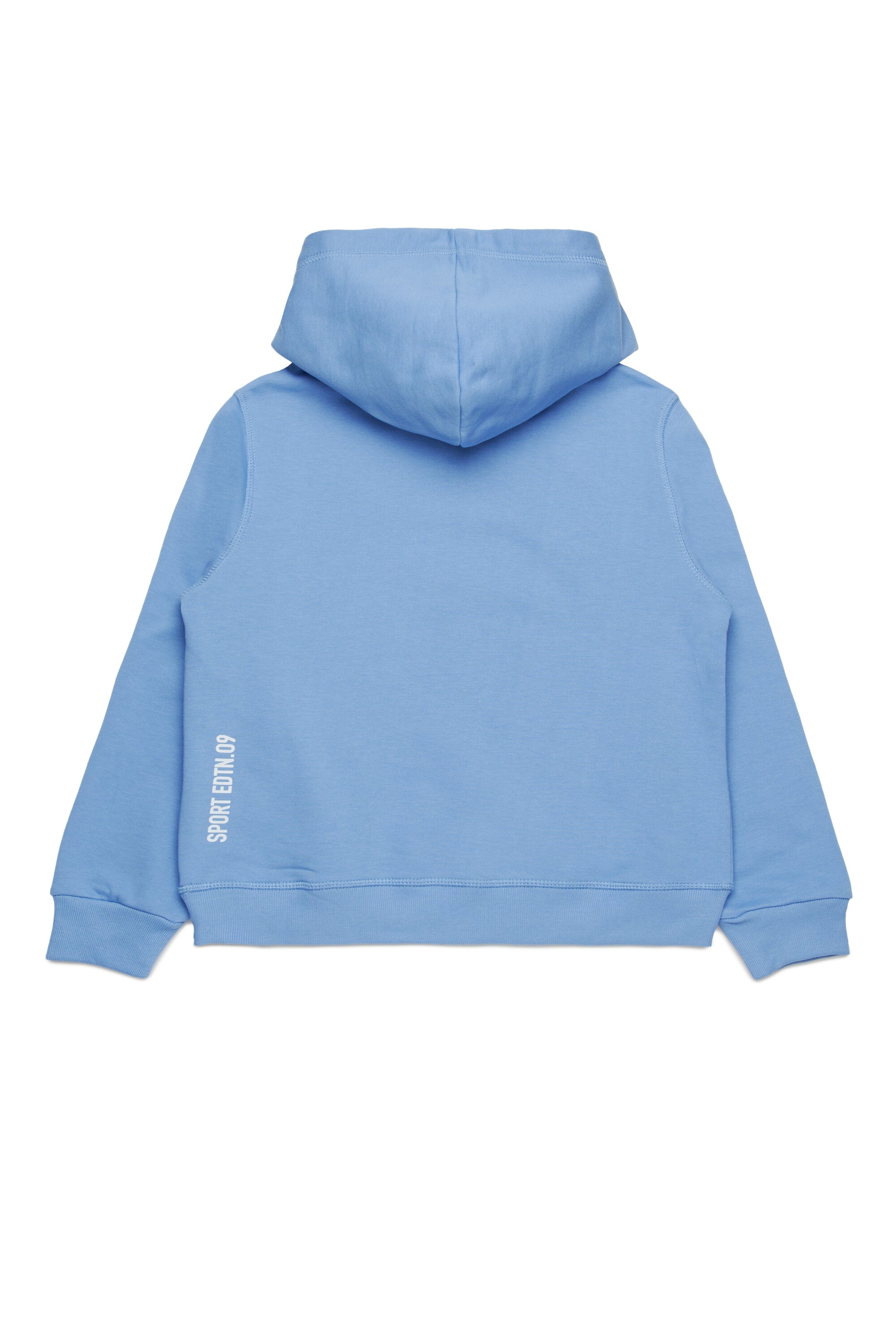Hooded sweatshirt with two-color Leaf graphics