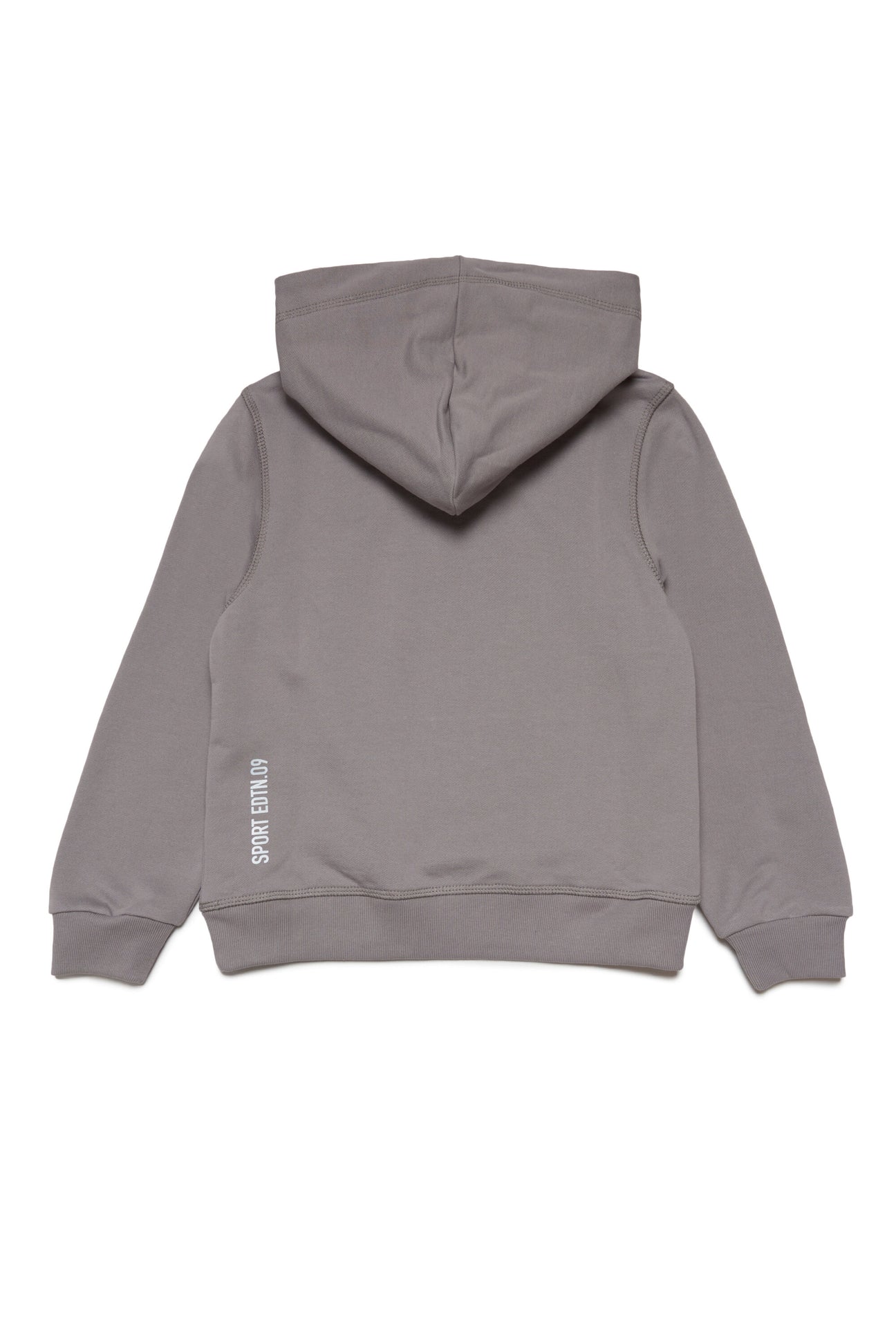 Hooded sweatshirt with two-color Leaf graphics Hooded sweatshirt with two-color Leaf graphics