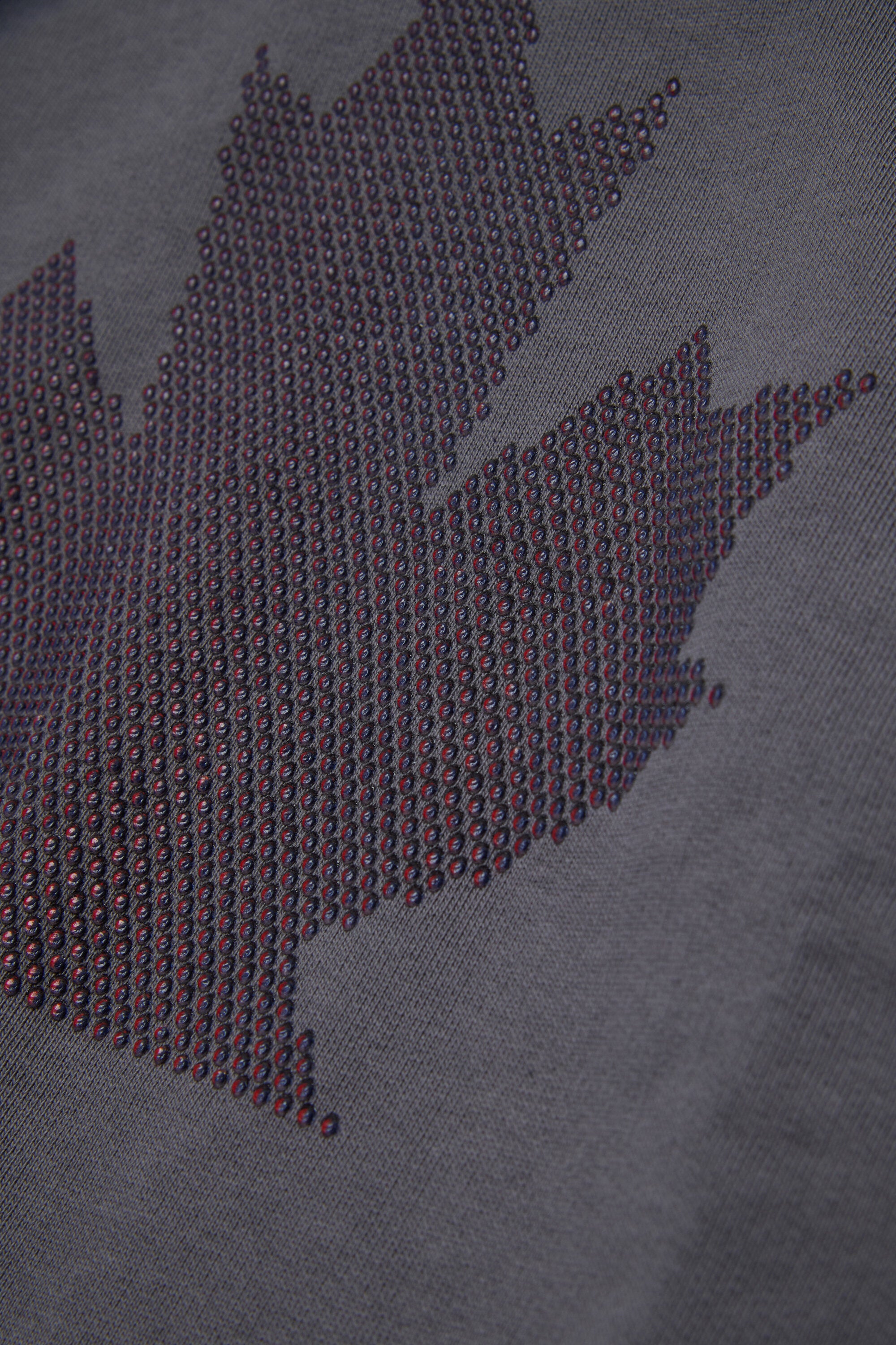 Kapuzenpullover mit Logo