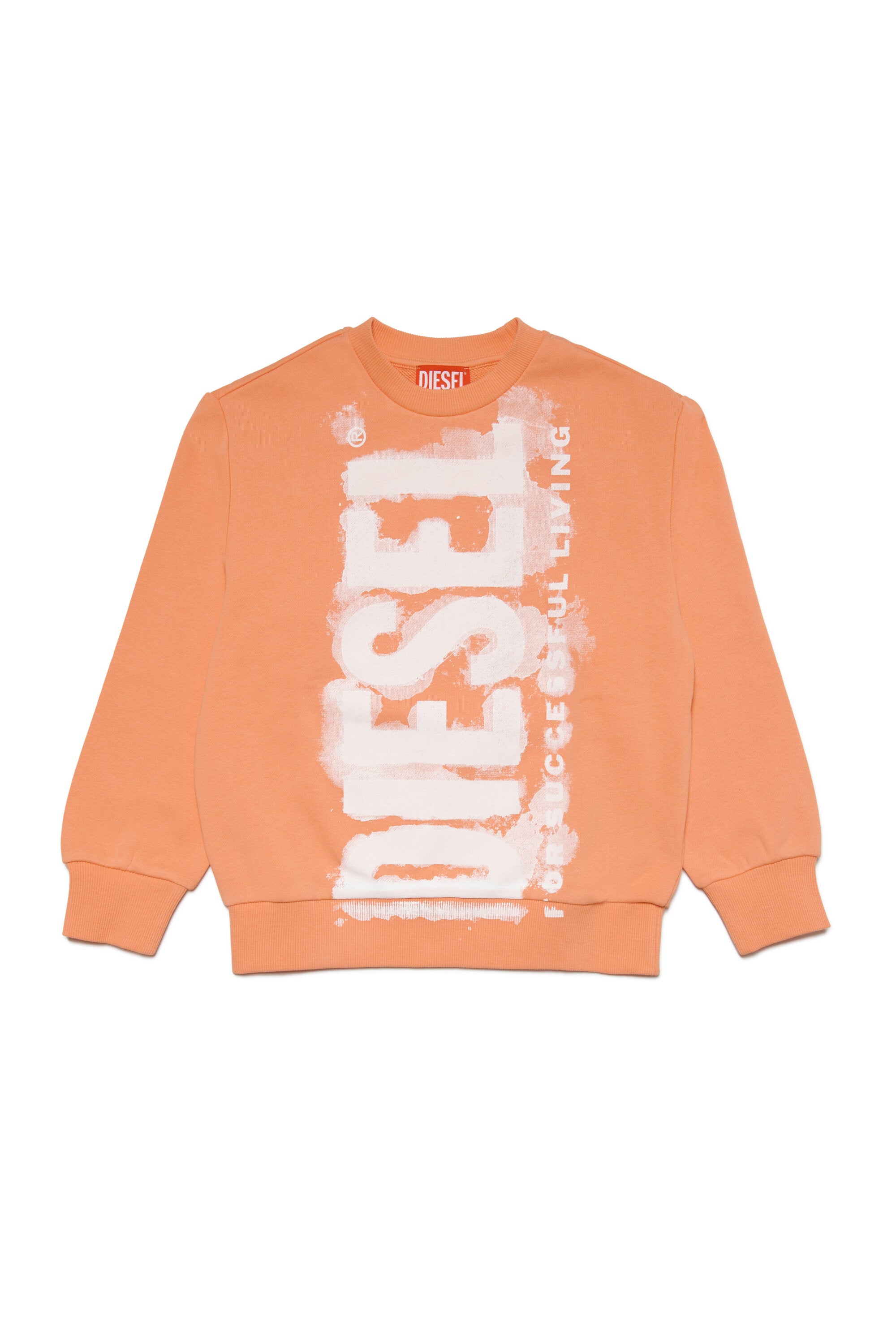 Crew-neck sweatshirt with watercolor effect print