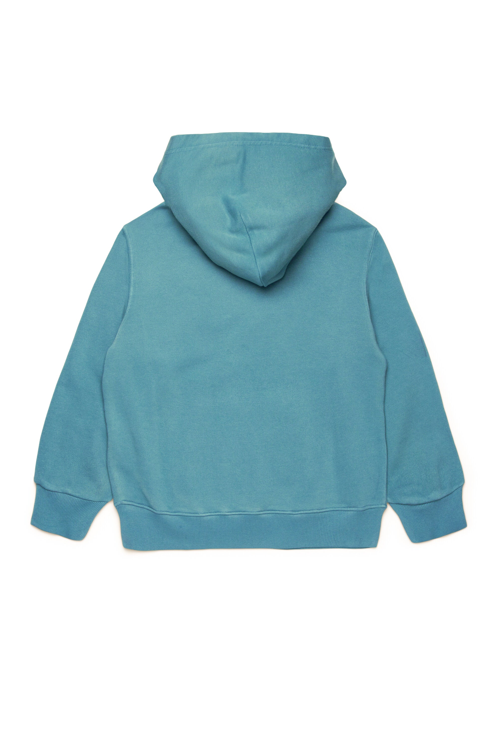 Hooded sweatshirt with sun-bleached effect and oval D logo