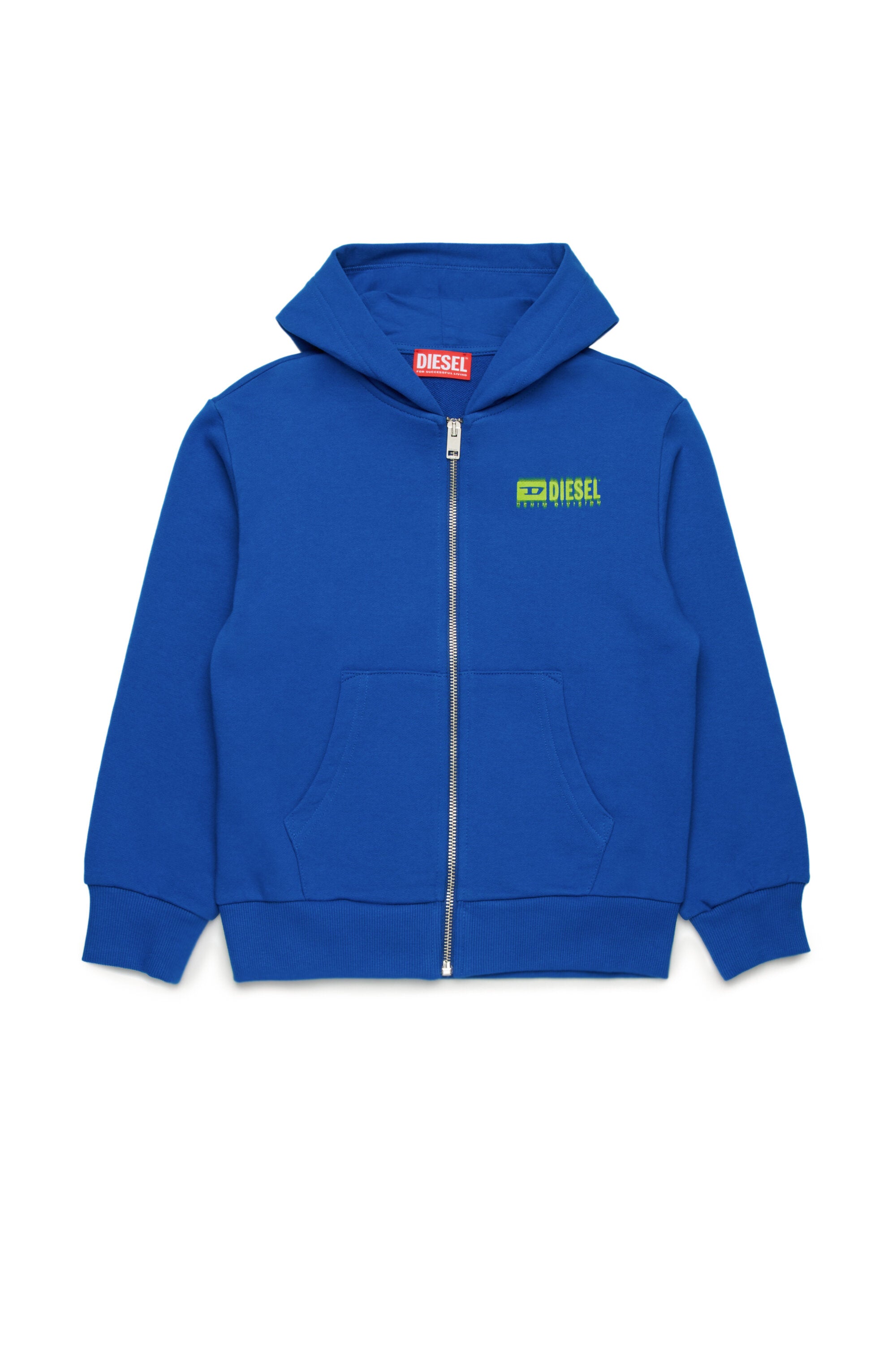 Hooded sweatshirt with degradé logo