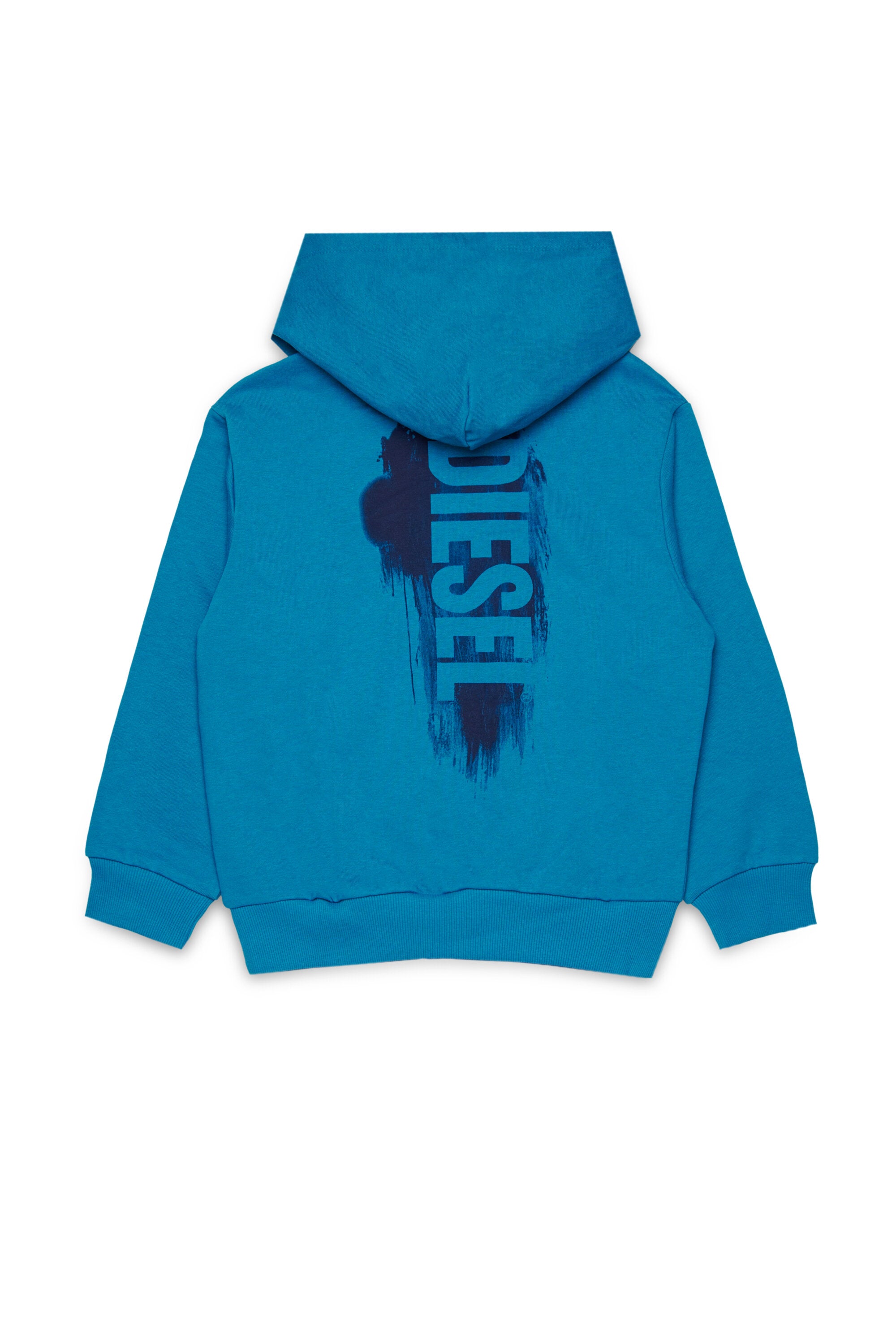 Sudadera con capucha y logotipo Diesel