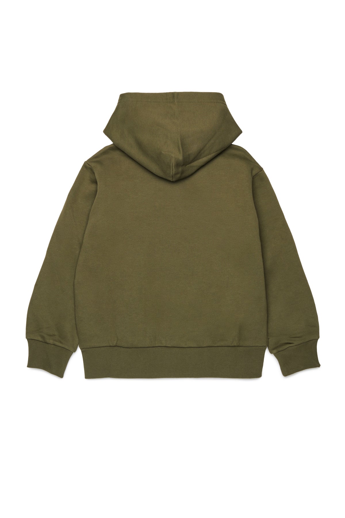 Hooded sweatshirt with logo