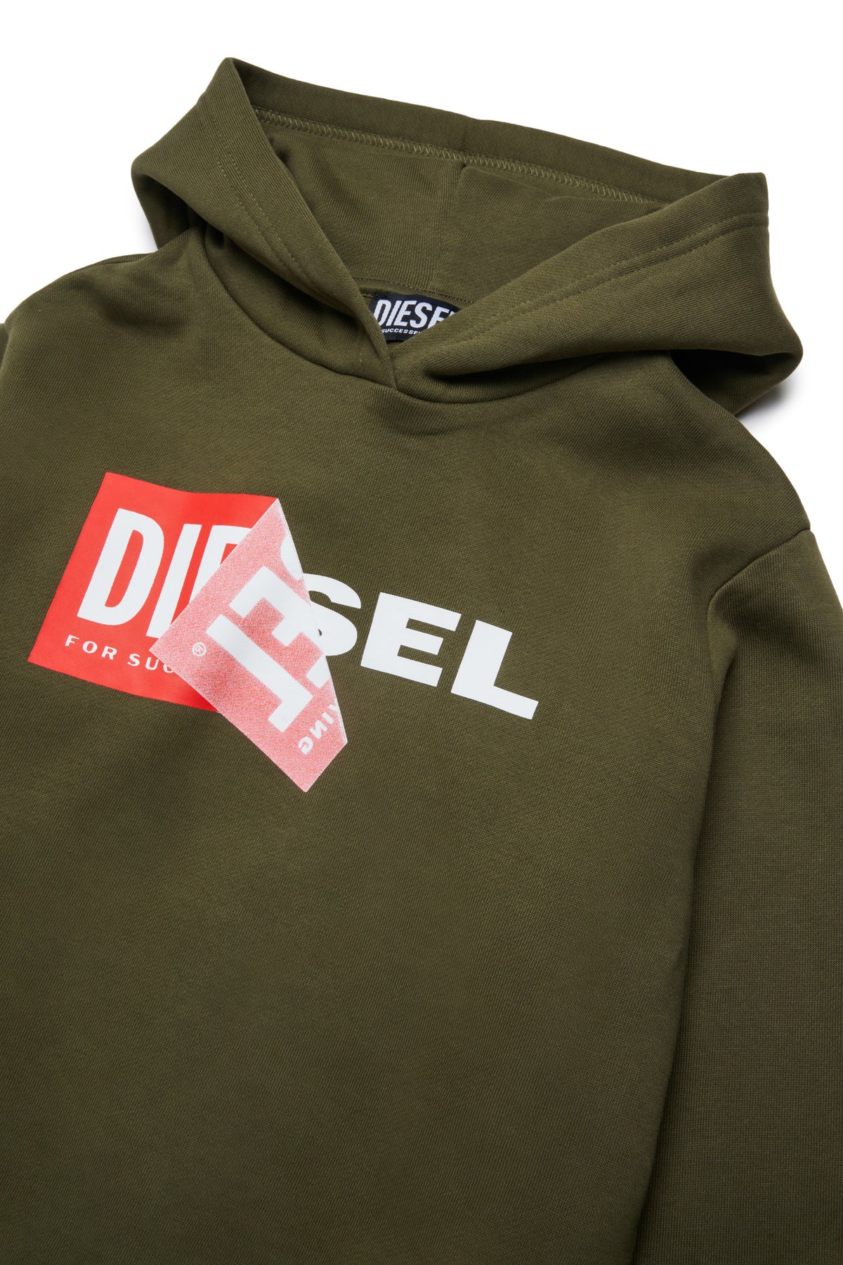 Hooded sweatshirt with logo