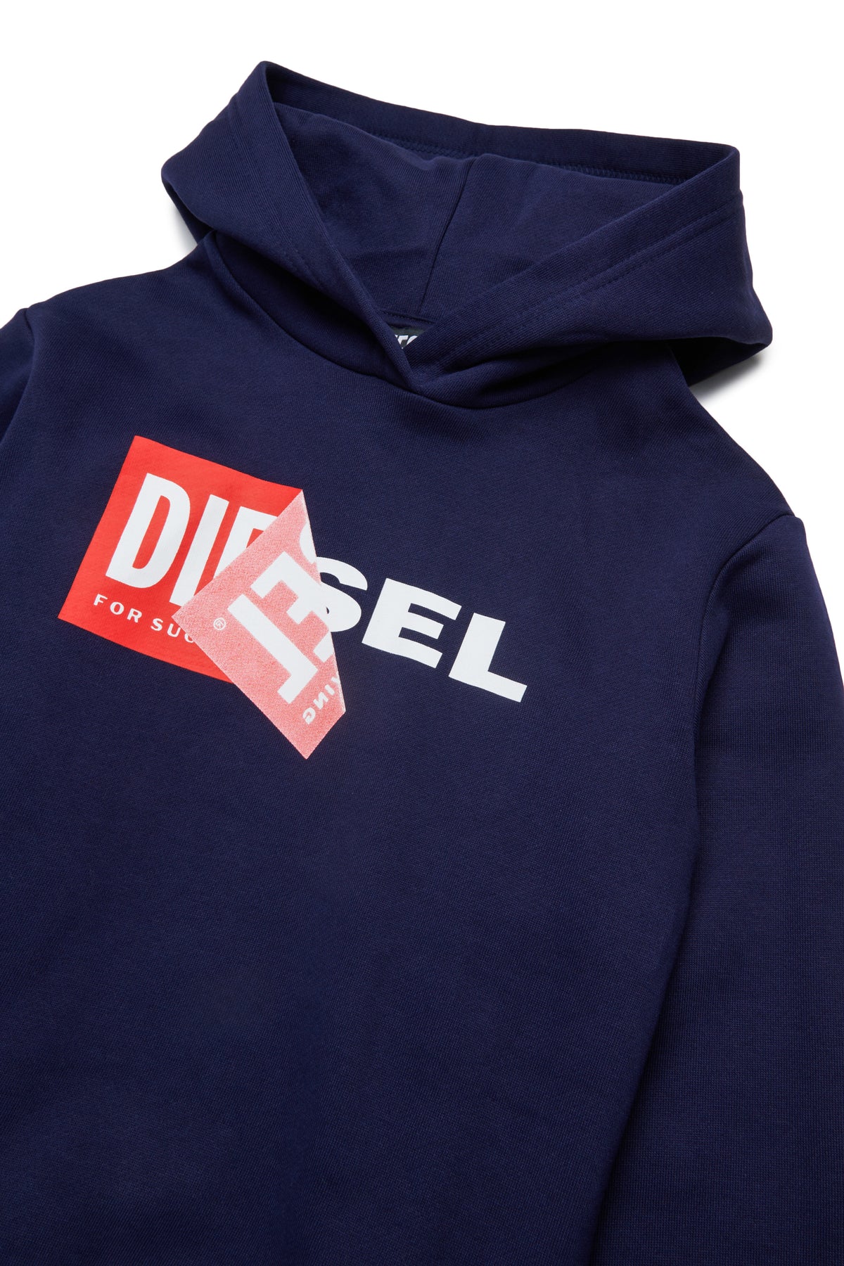 Hooded sweatshirt with logo