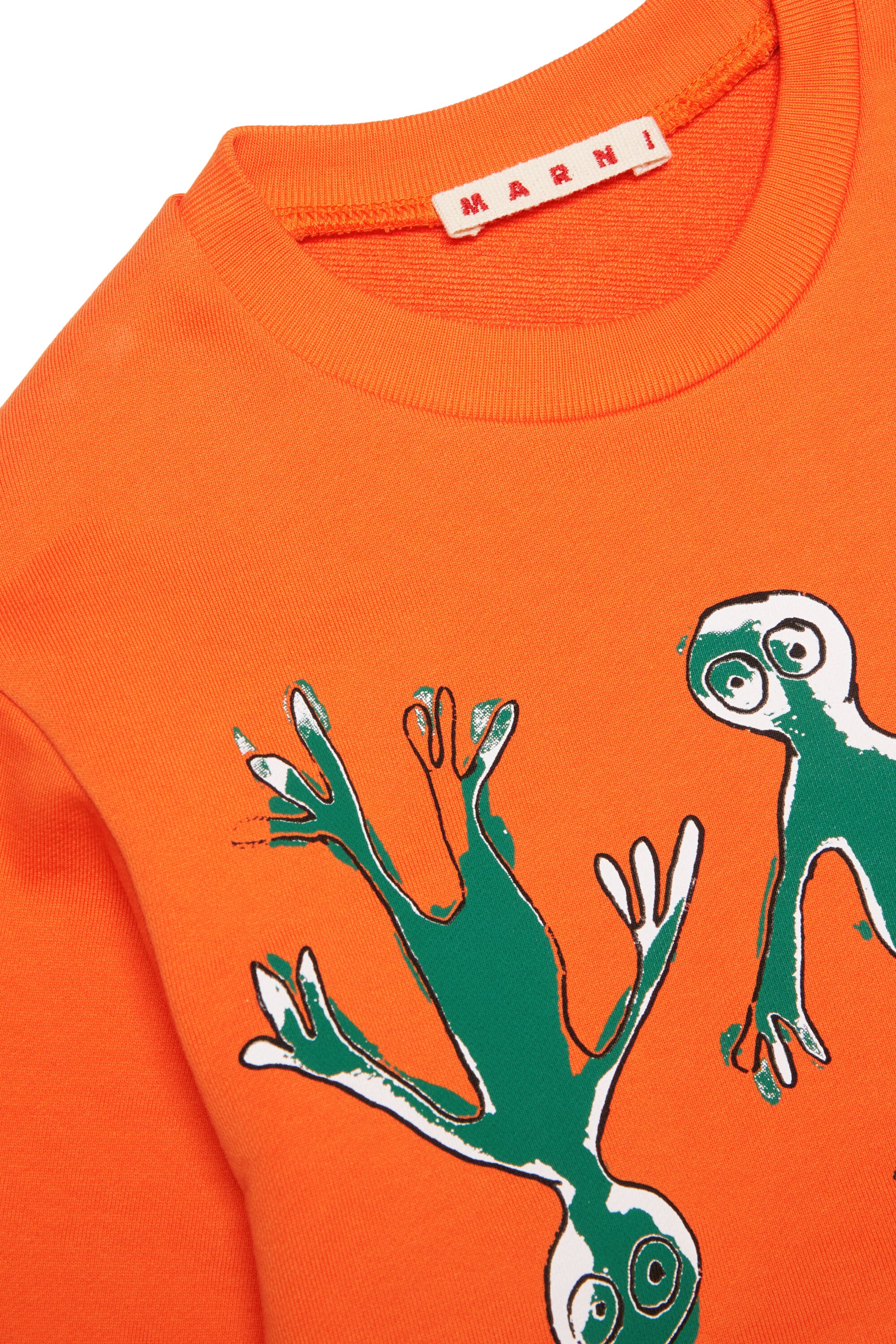 Crew-neck sweatshirt with Frog graphics