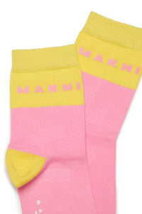 Colorblock branded socks