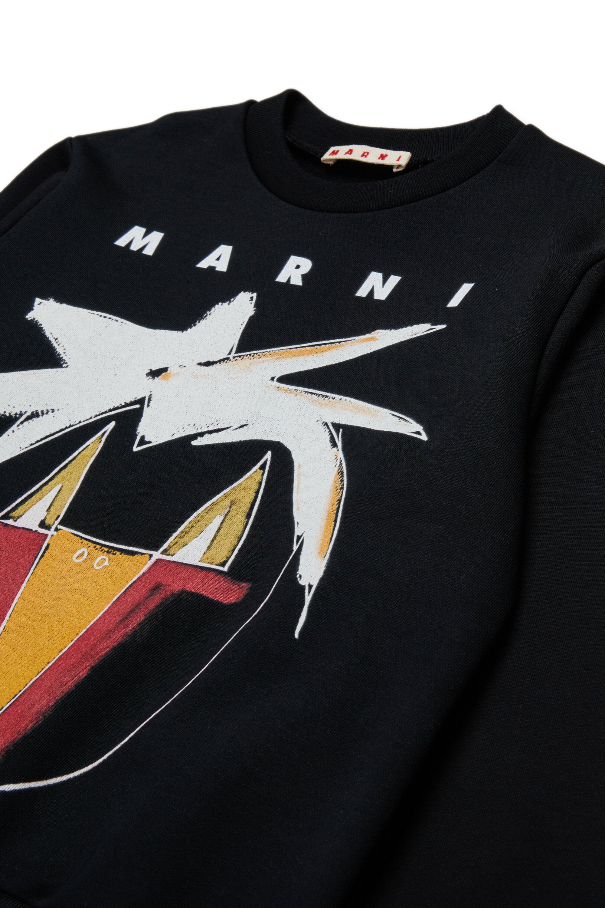 Sweat-shirt à col ras du cou avec graphisme Jungle