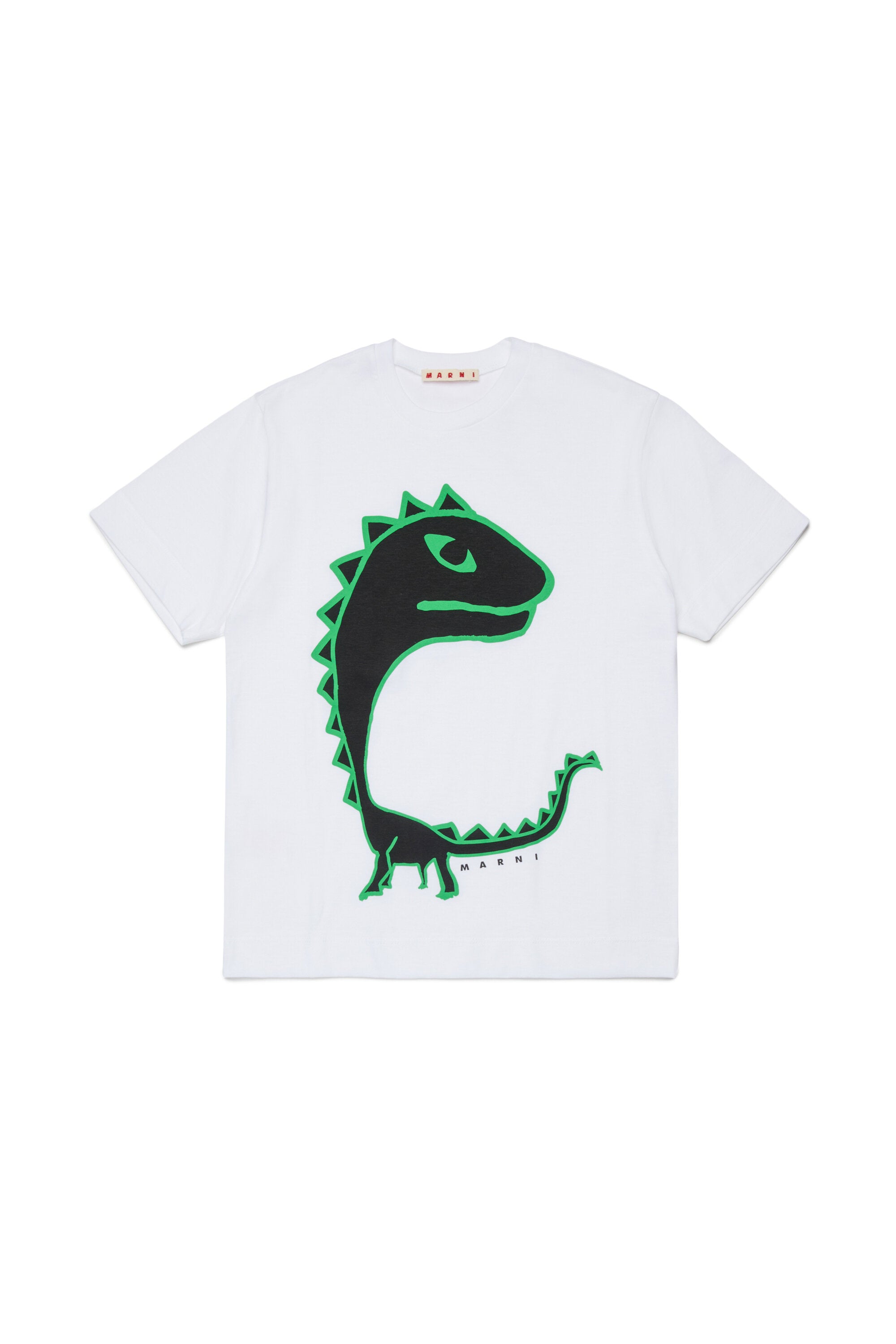 T-Shirt mit Dinosaurier-Print