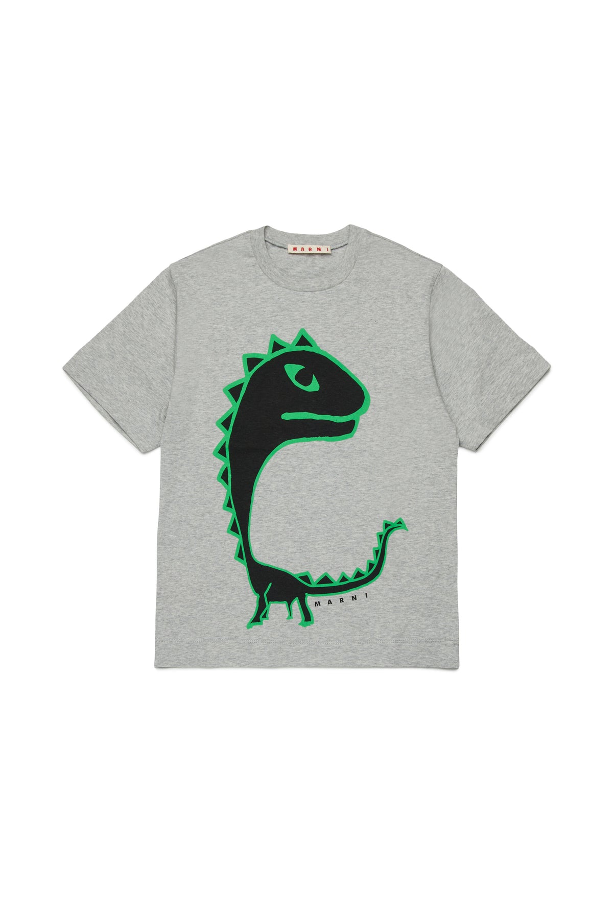 T-Shirt mit Dinosaurier-Print