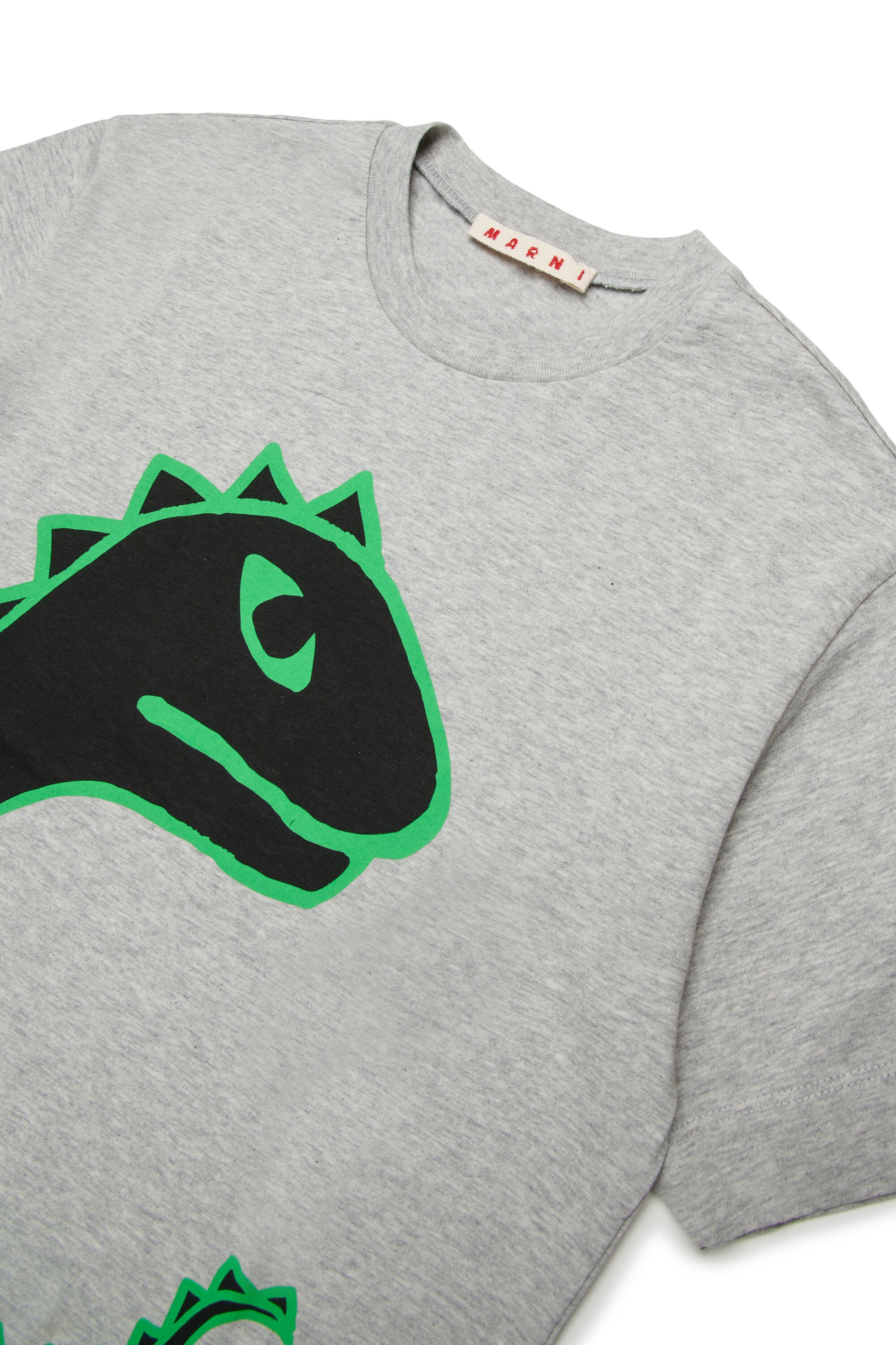 T-Shirt mit Dinosaurier-Print