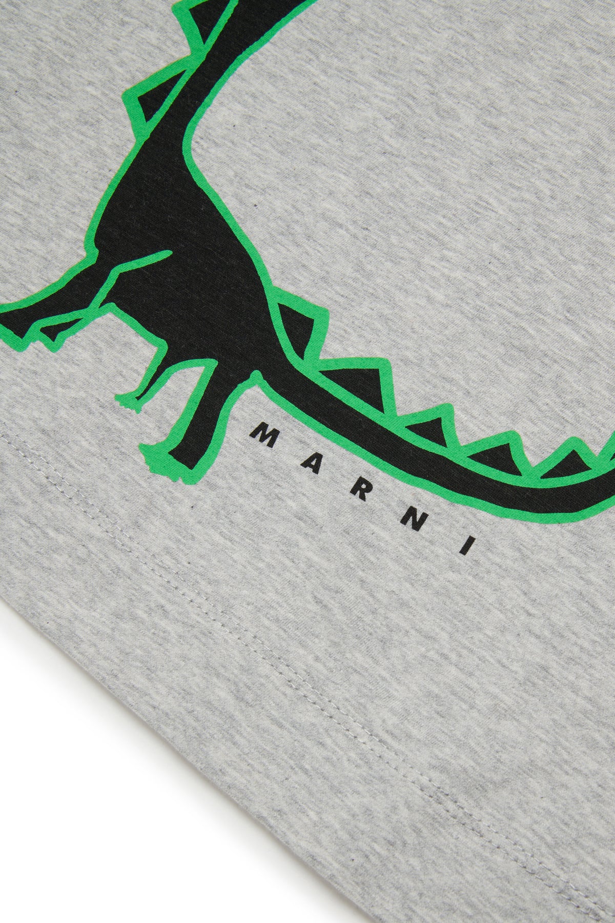 T-Shirt mit Dinosaurier-Print