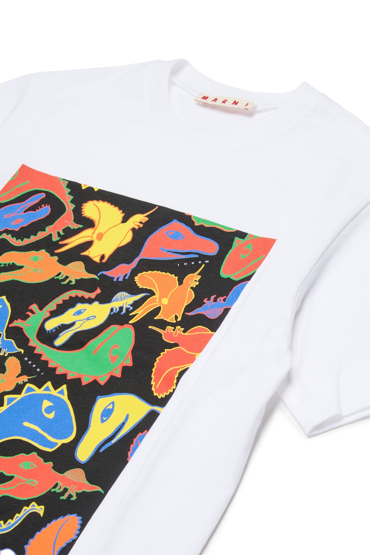 T-Shirt mit mehrfarbigem Dinosaurier-Print
