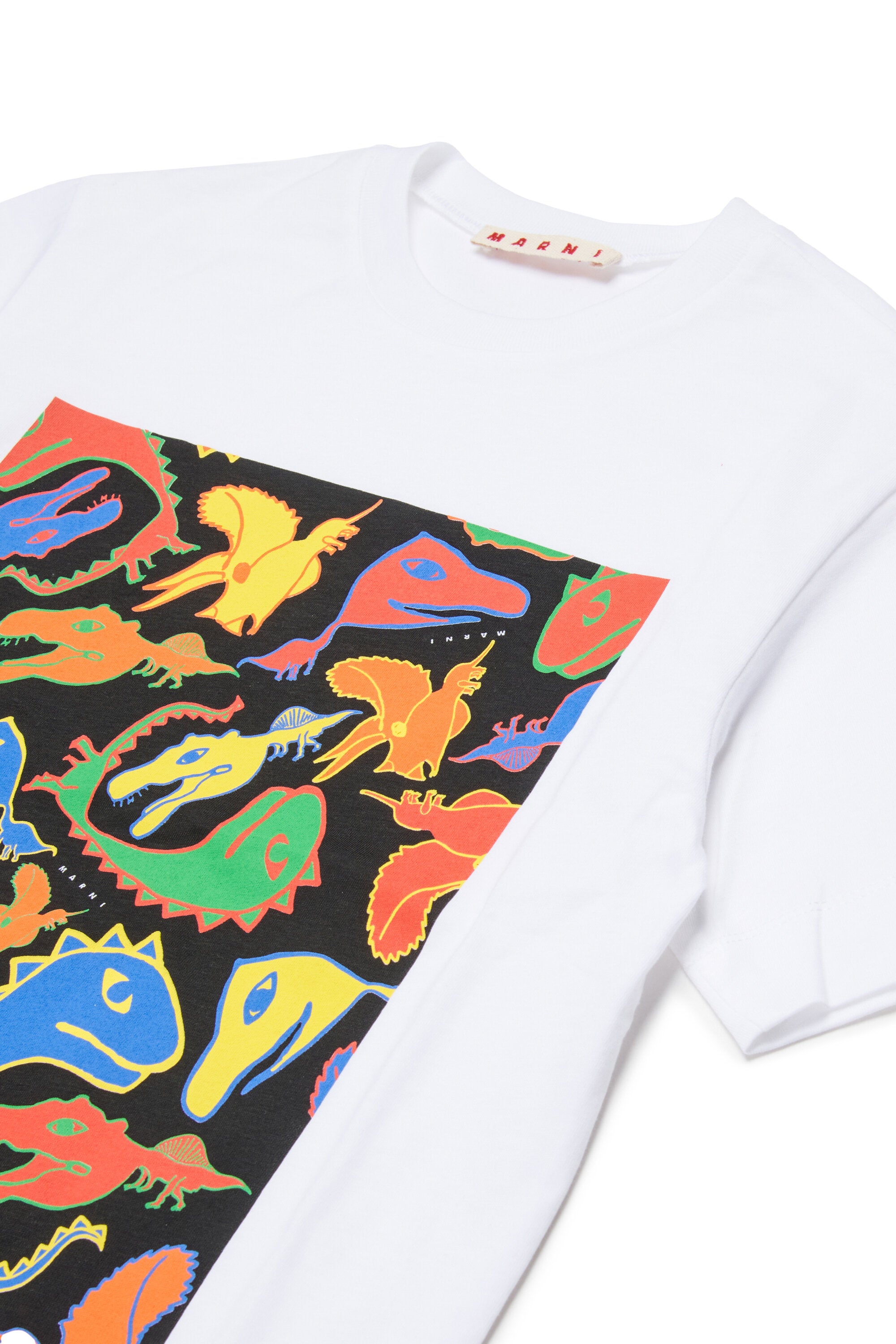 T-shirt con stampa dinosauri multicolor