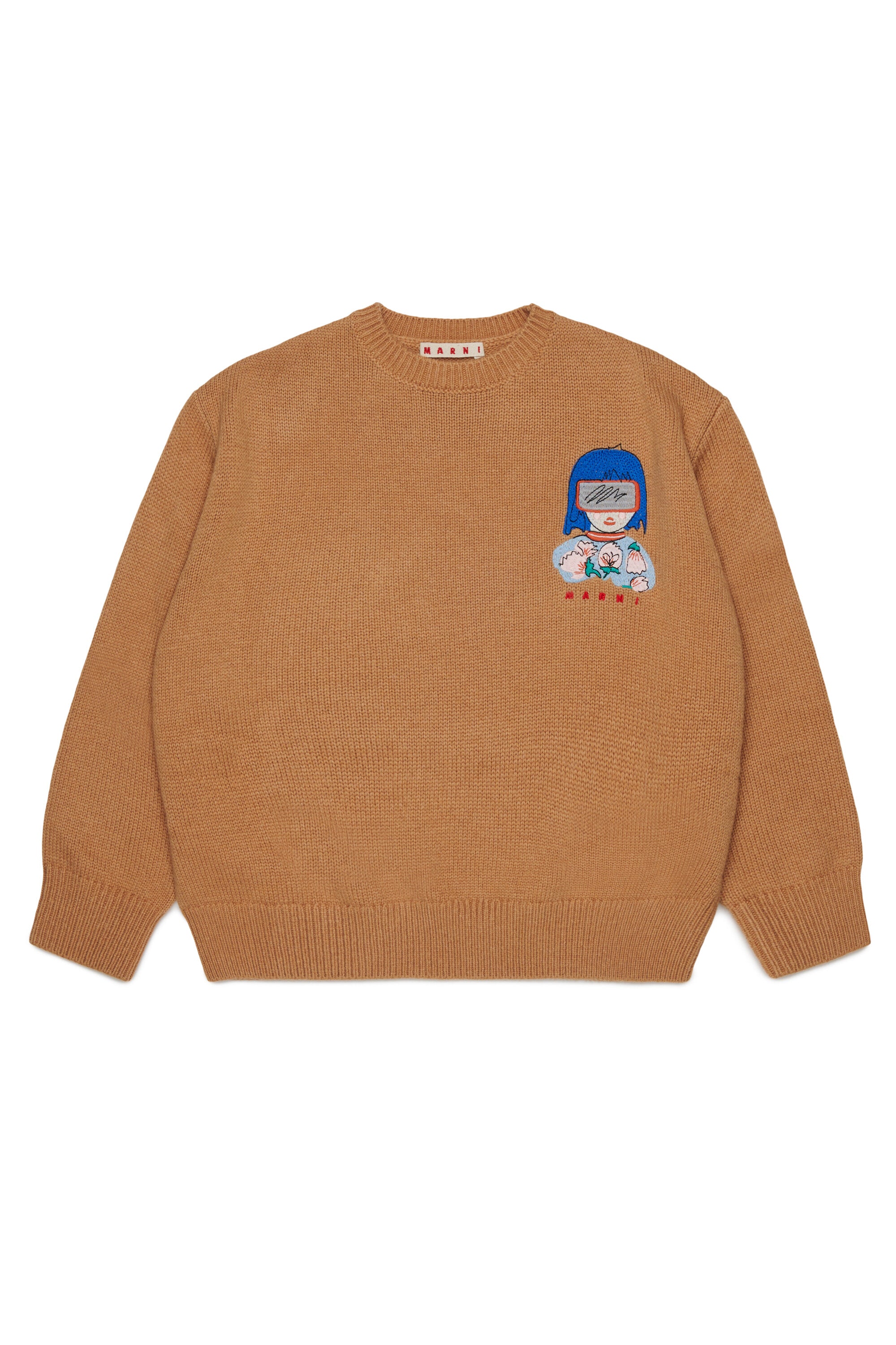 Crewneck pullover with logo