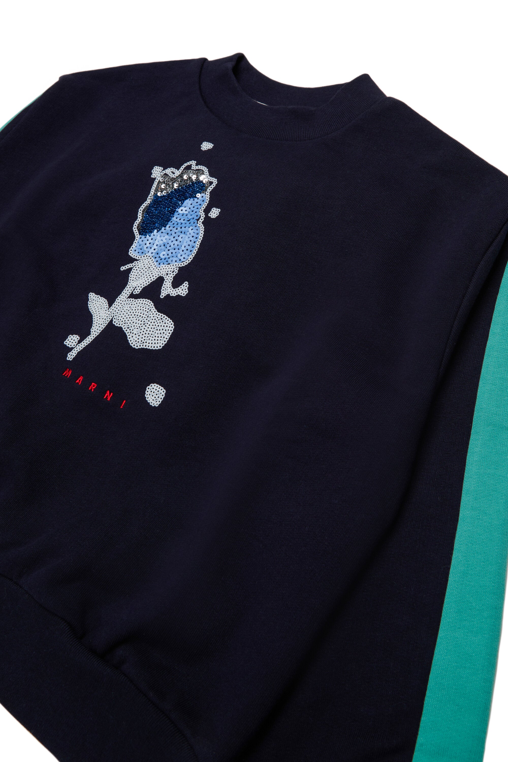 Crewneck sweatshirt with logo