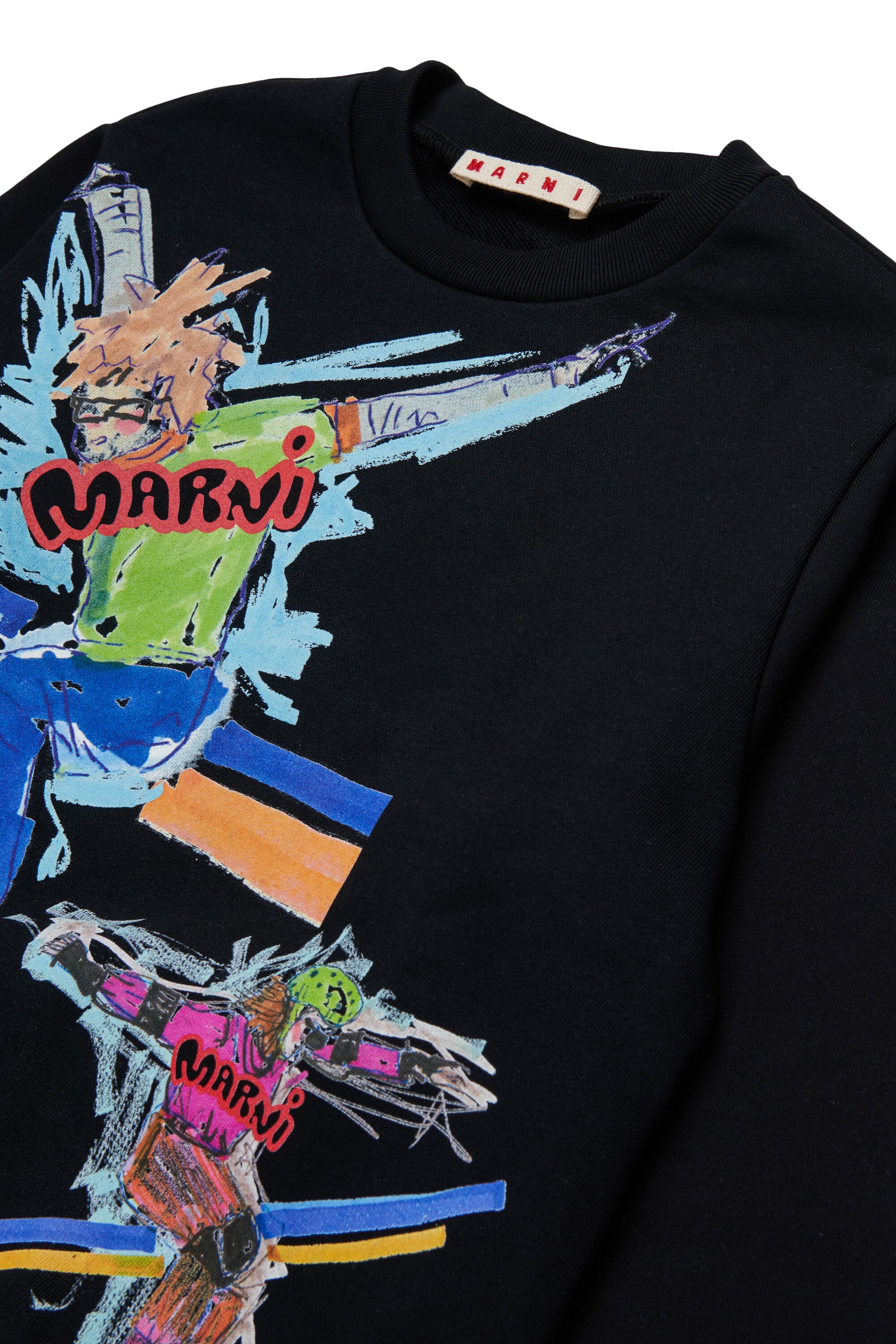 Crew-neck sweatshirt with skater print
