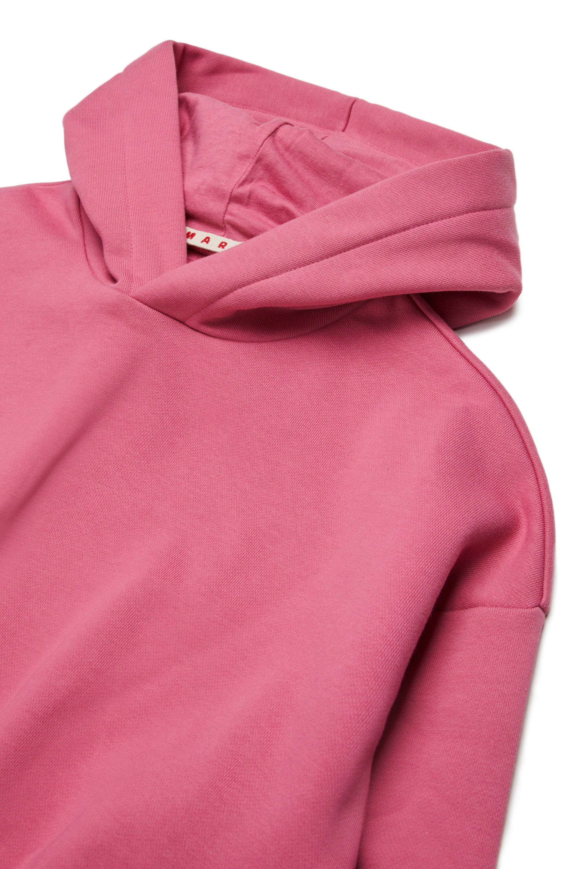 Hooded sweatshirt with logo