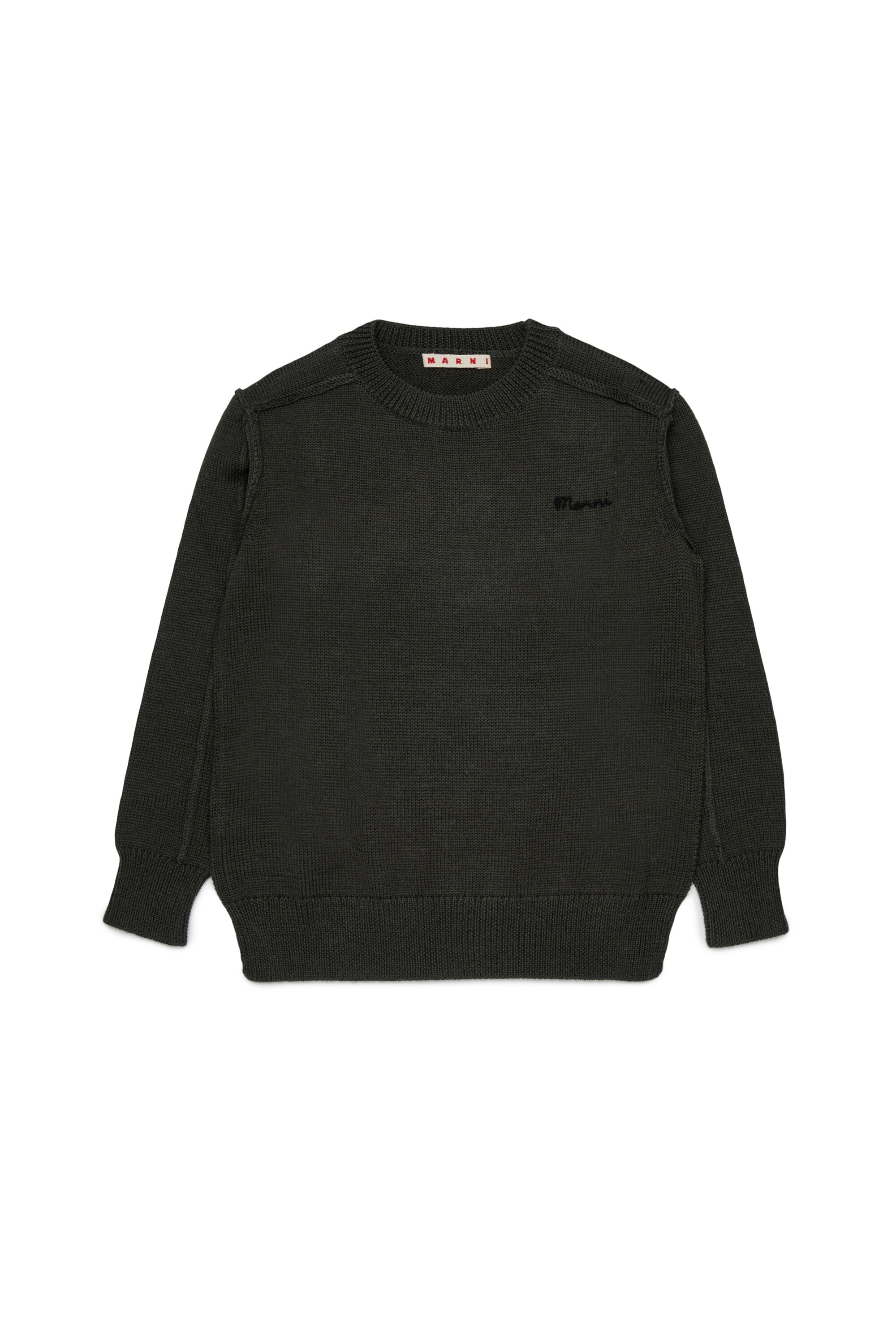 Crew-neck pullover with logo